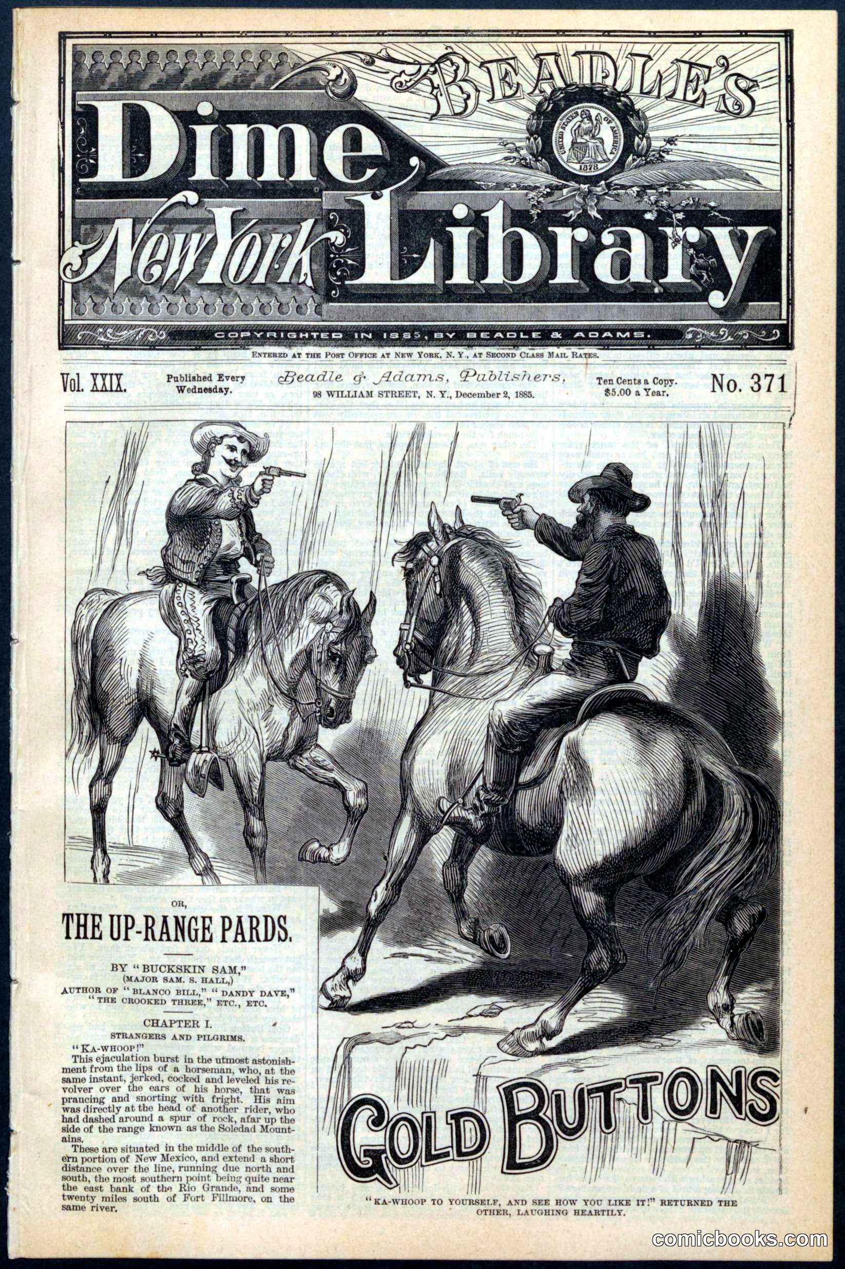 Beadle's New York Dime Library No. 371