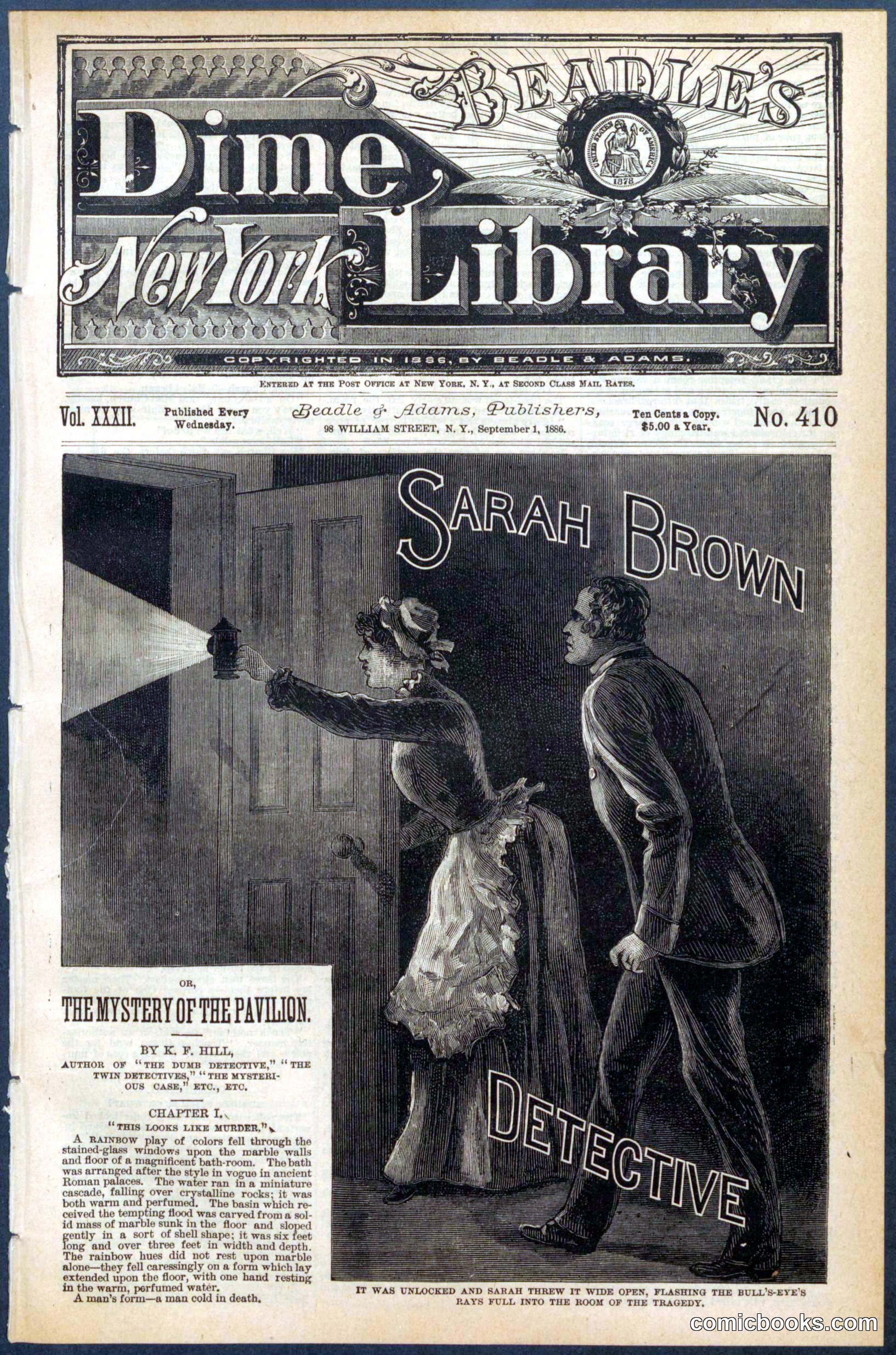 Beadle's New York Dime Library No. 410