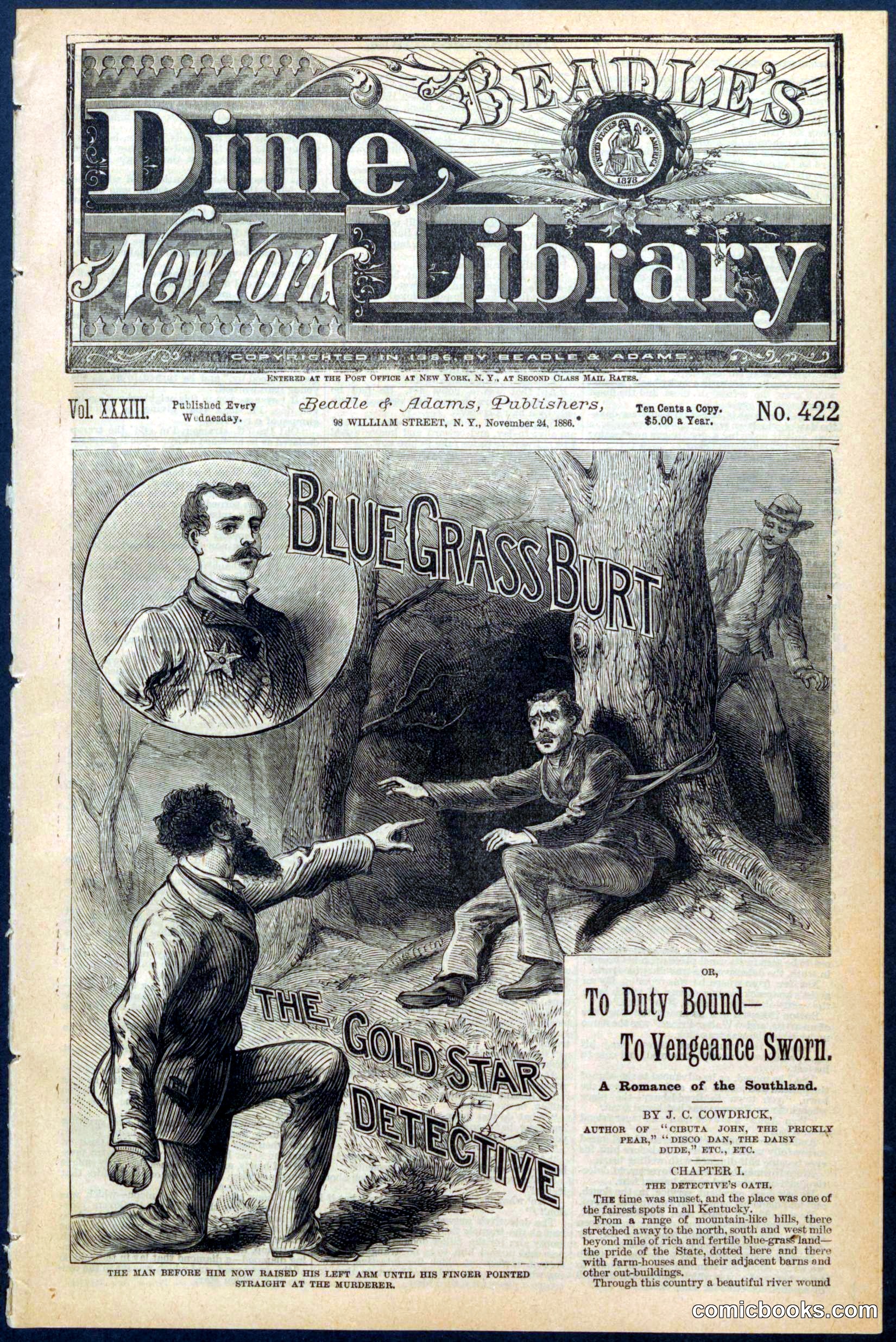 Beadle's New York Dime Library, No. 422