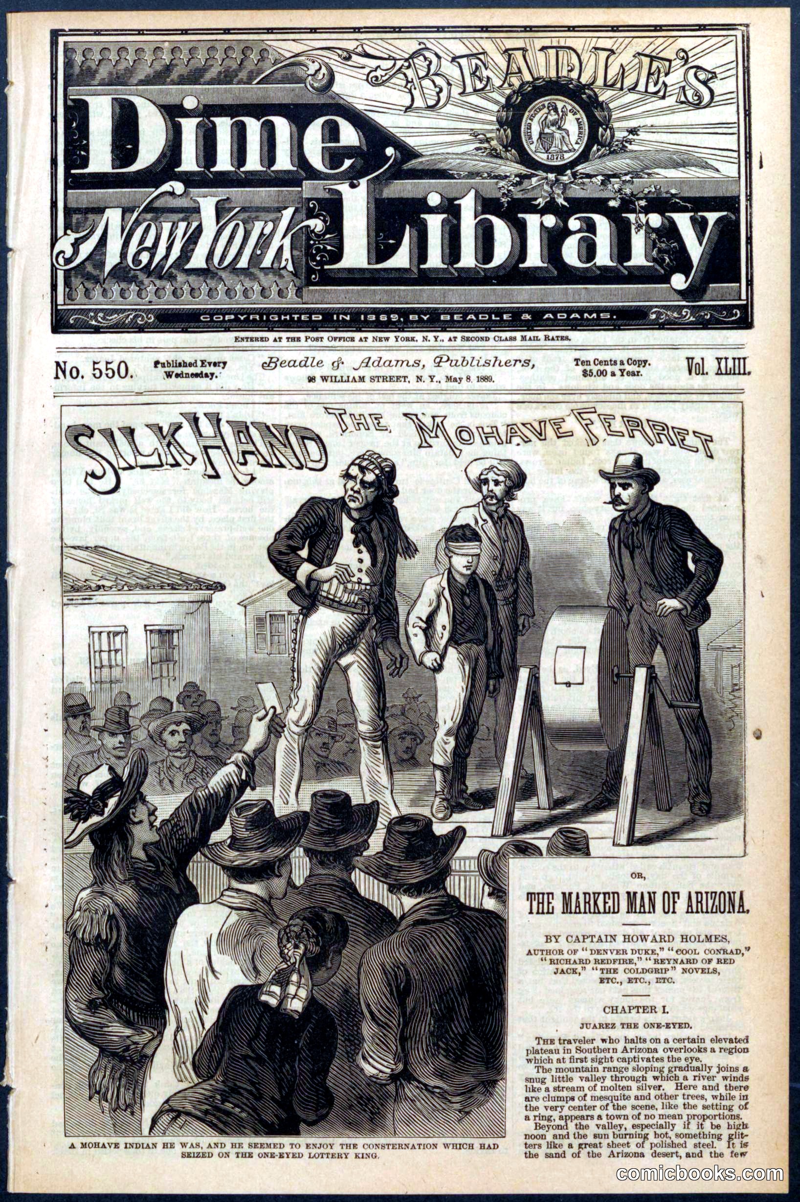 Beadle's New York Dime Library No. 550