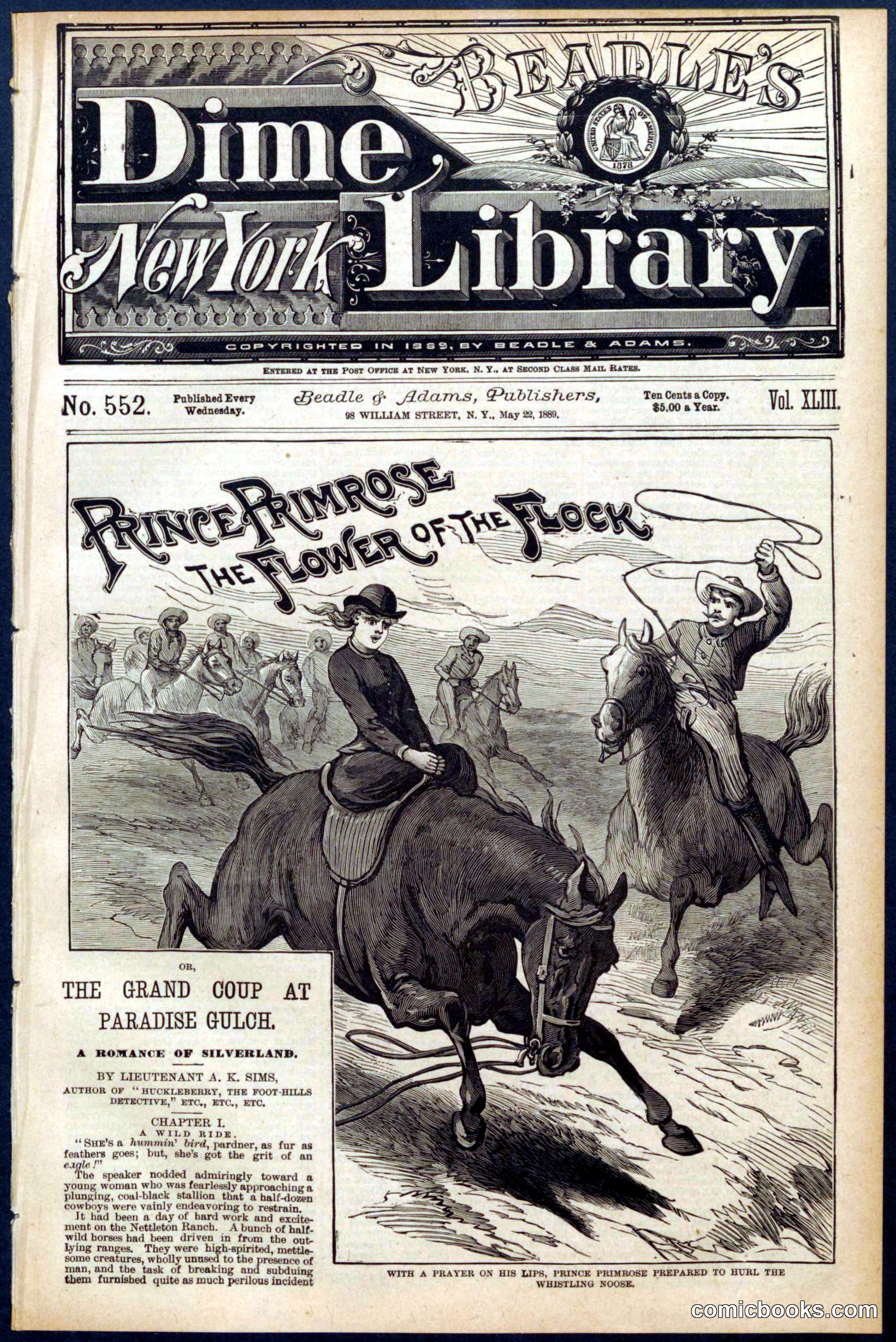 Beadle's Dime Library No. 552