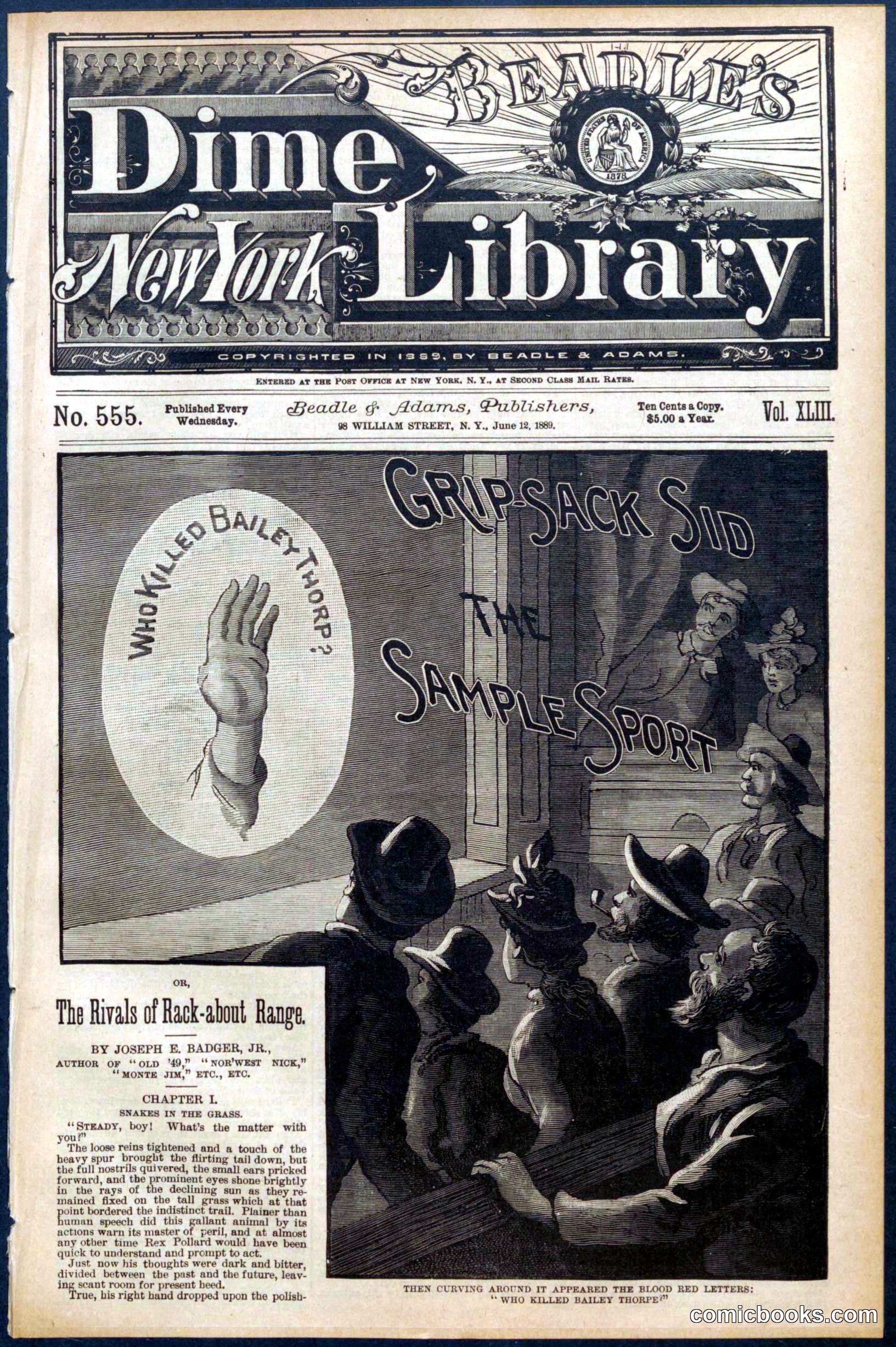 Beadle's New York Dime Library, No. 555