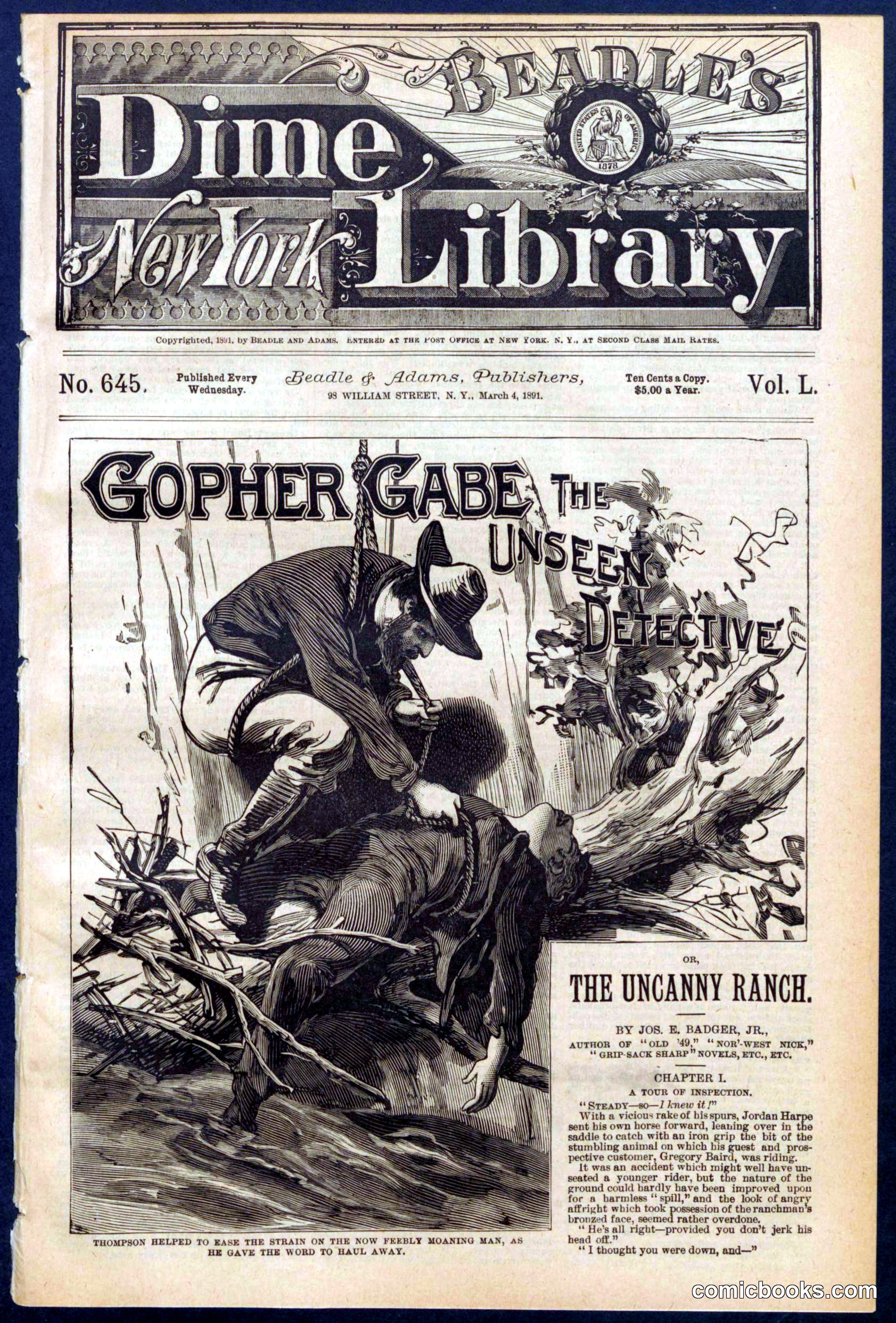 Beadle's New York Dime Library No. 645