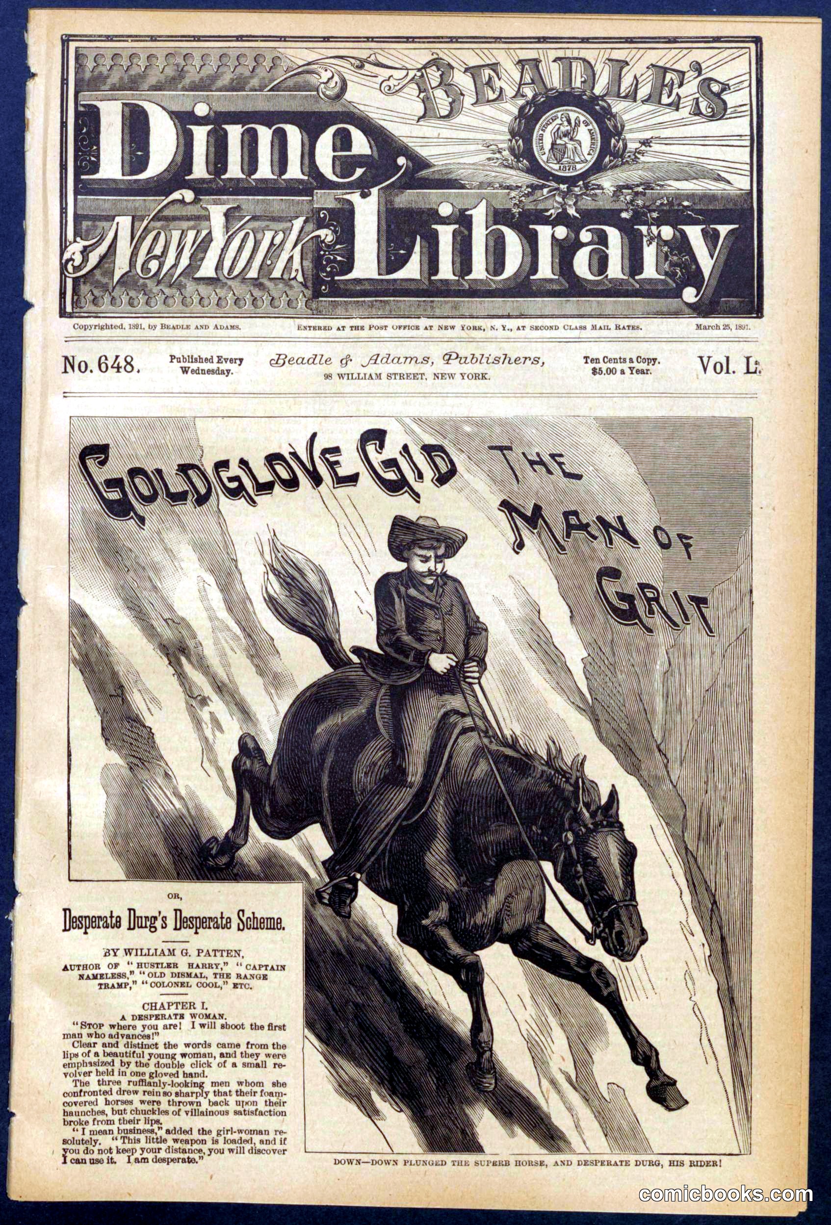 Beadle's Dime Library No. 648
