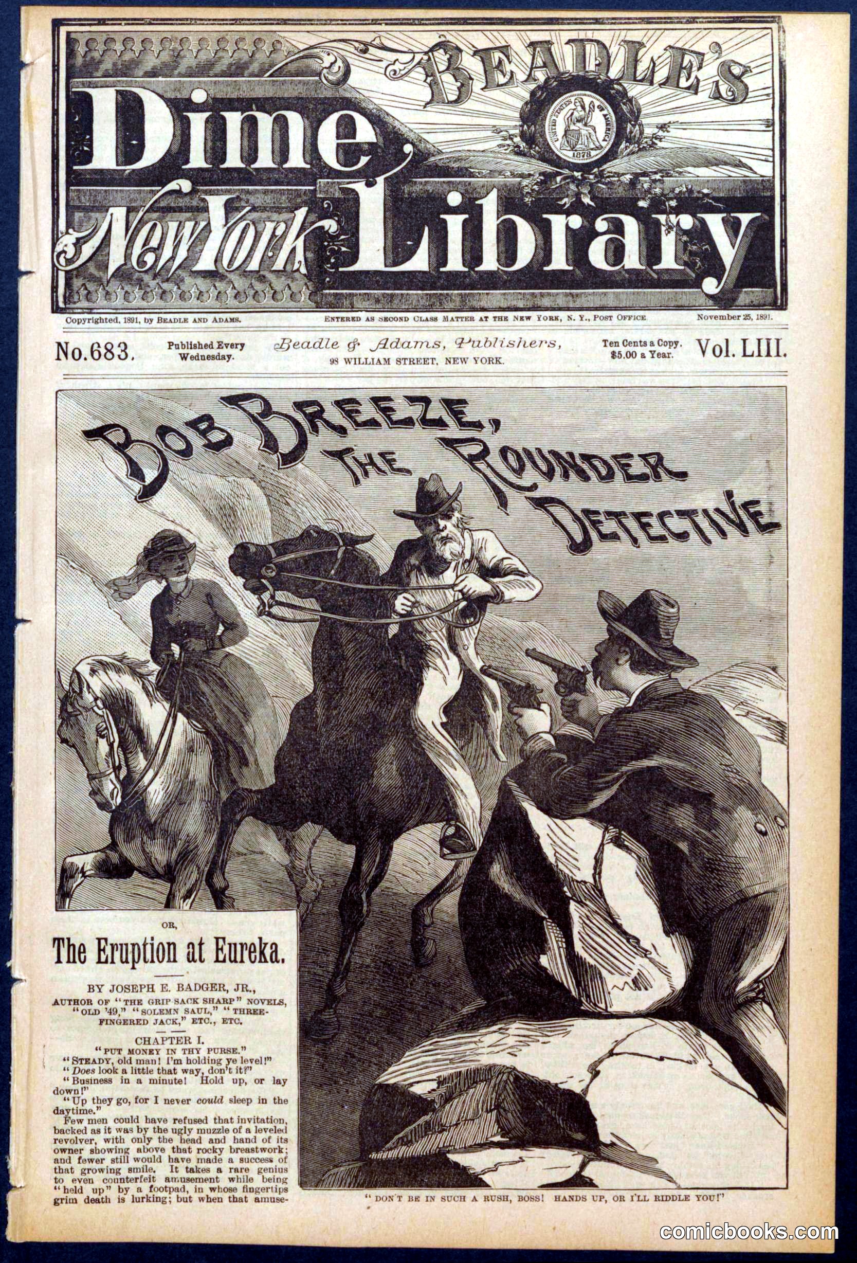 Beadle's Dime Library No. 683