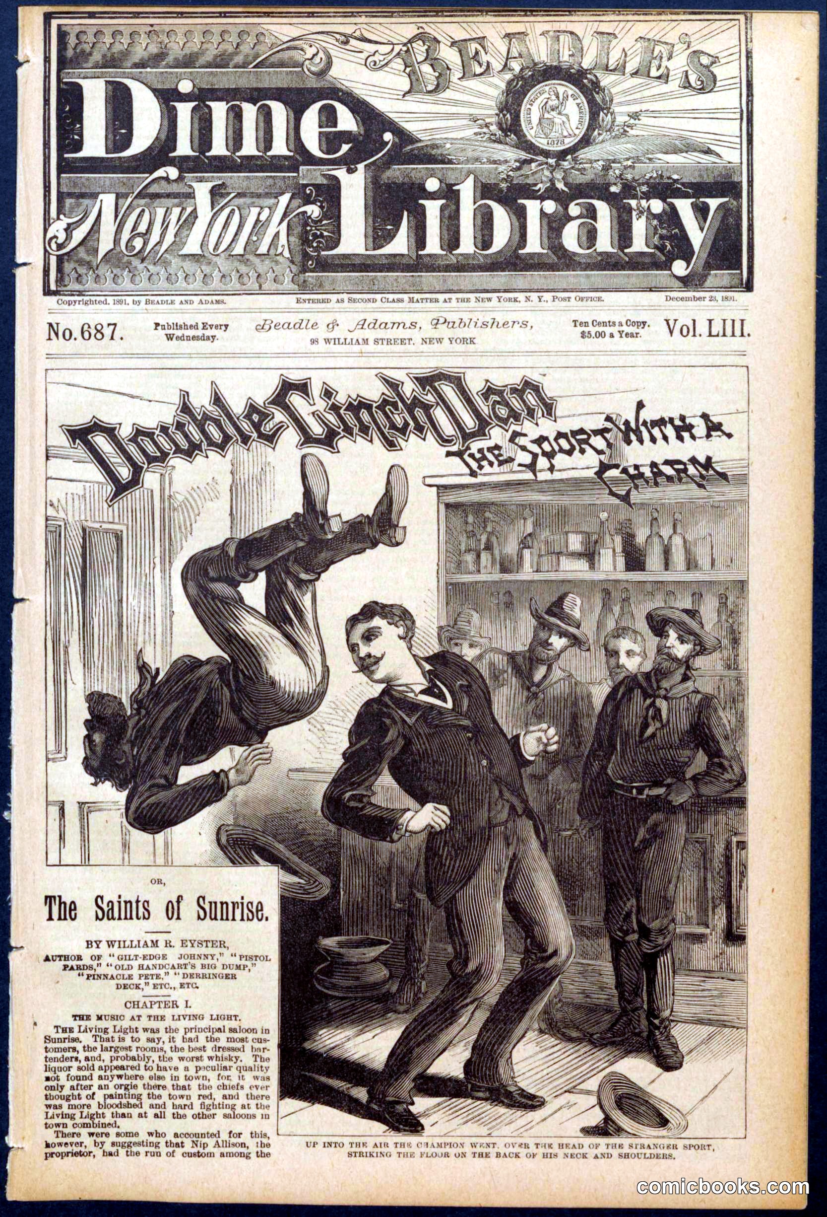 Beadle's New York Dime Library, No. 687