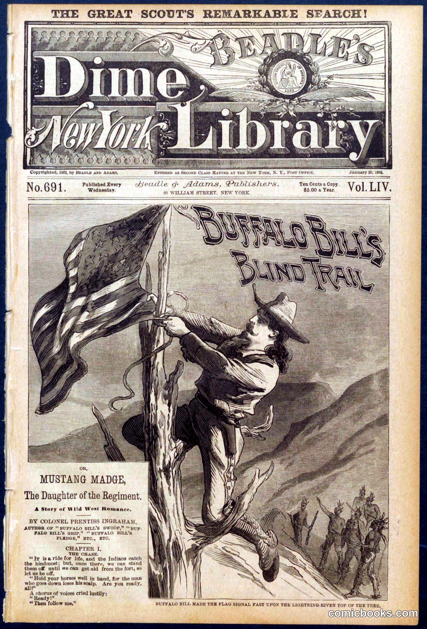Beadle's Dime Library No. 691