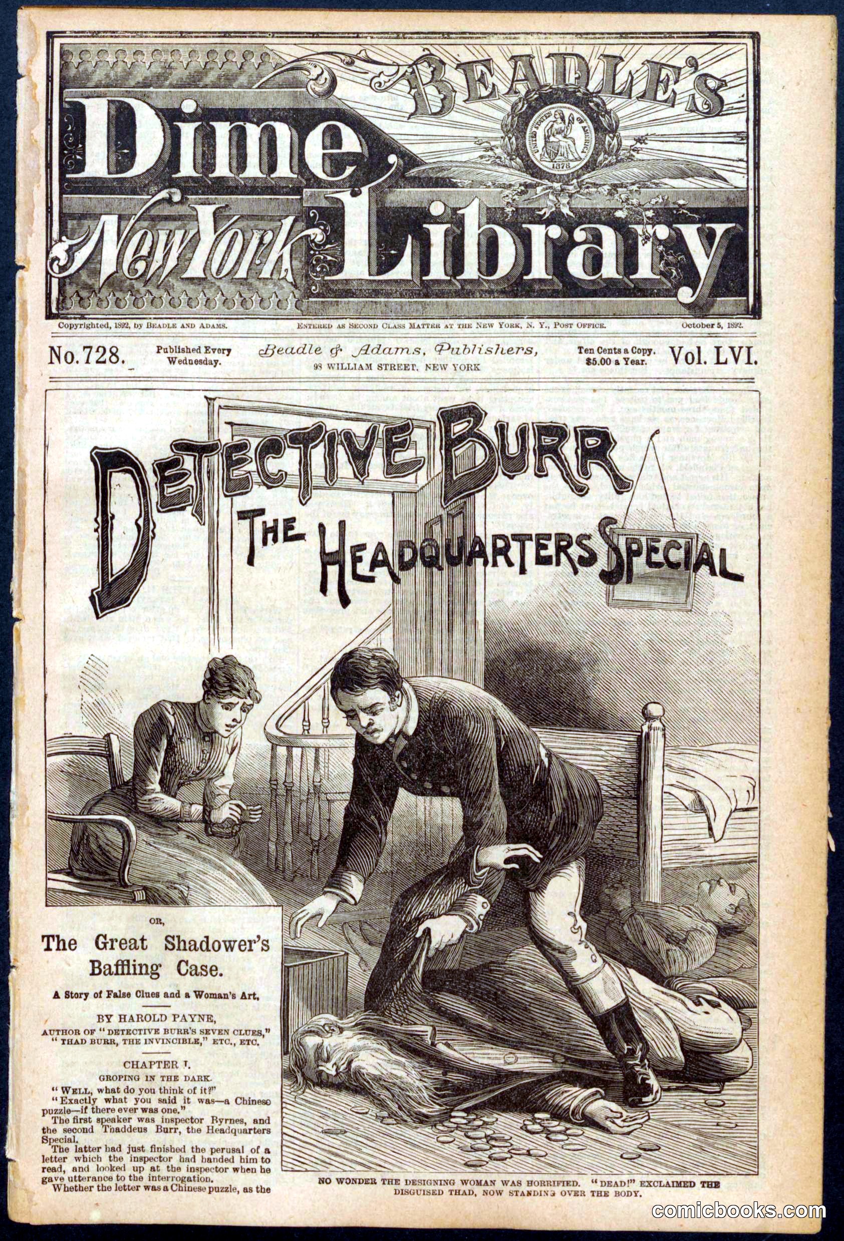 Beadle's Dime Library No. 728
