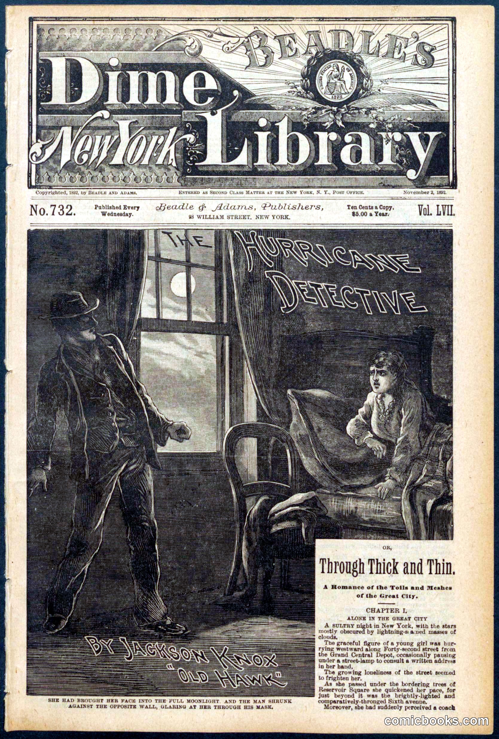 Beadle's New York Dime Library No. 732