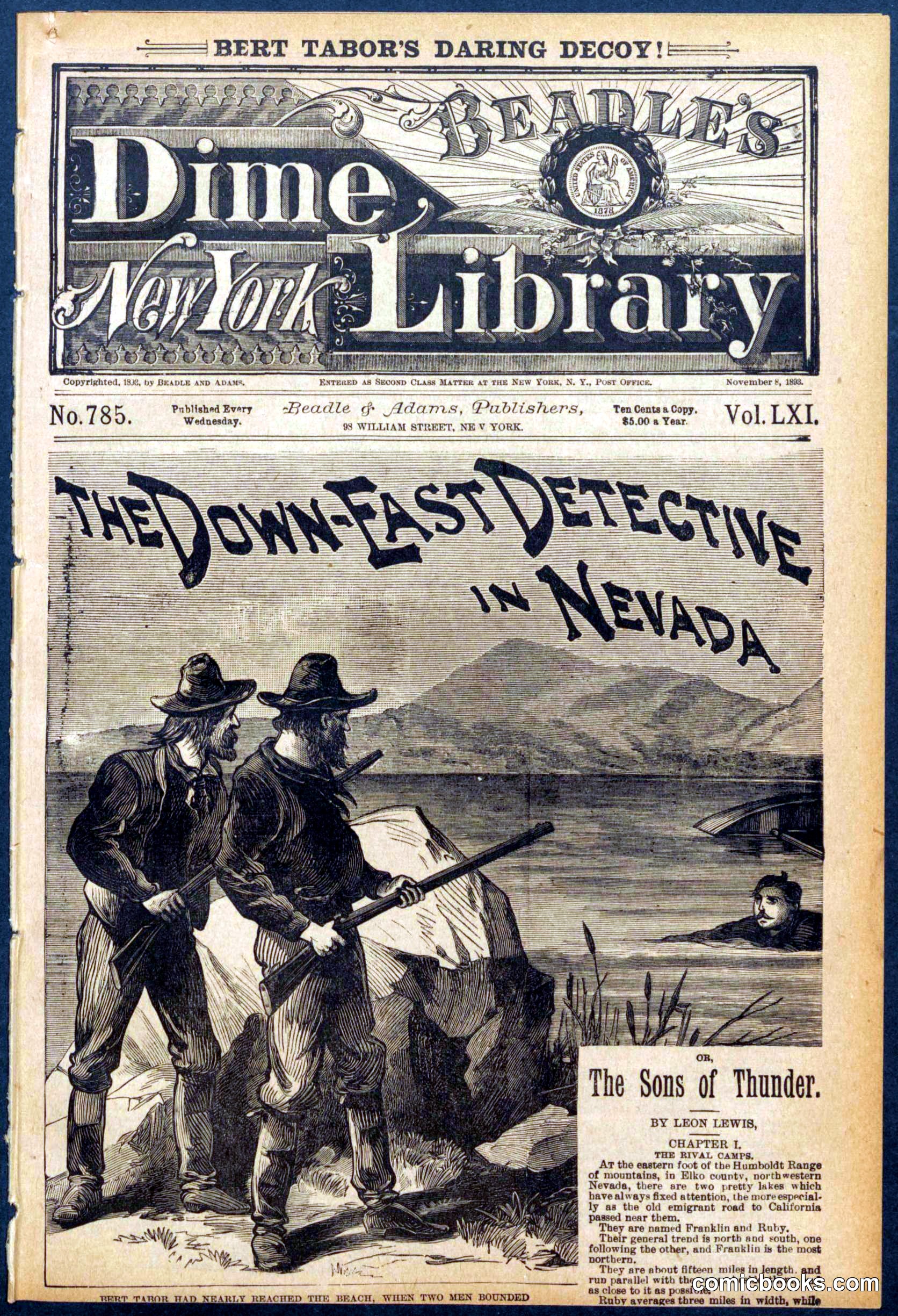 Beadle's New York Dime Library No. 785