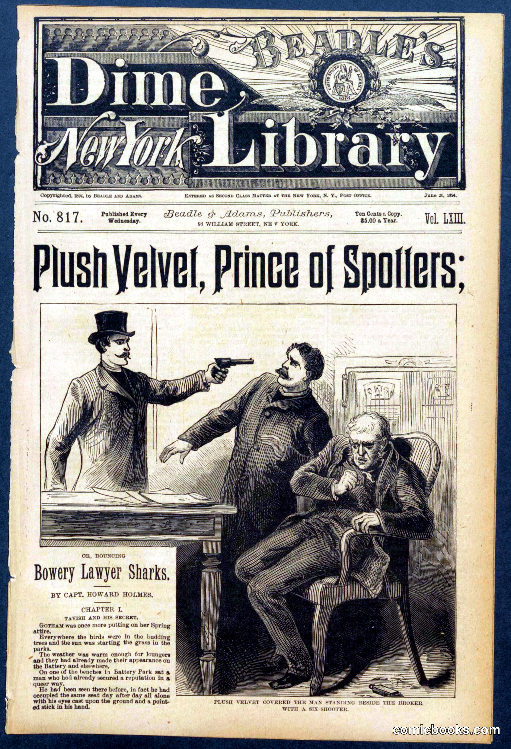 Beadle's New York Dime Library No. 817
