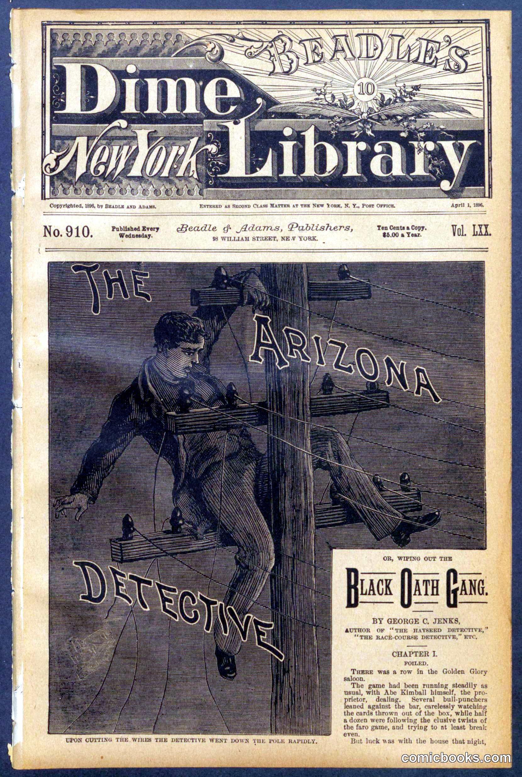 Beadle's New York Dime Library No. 910
