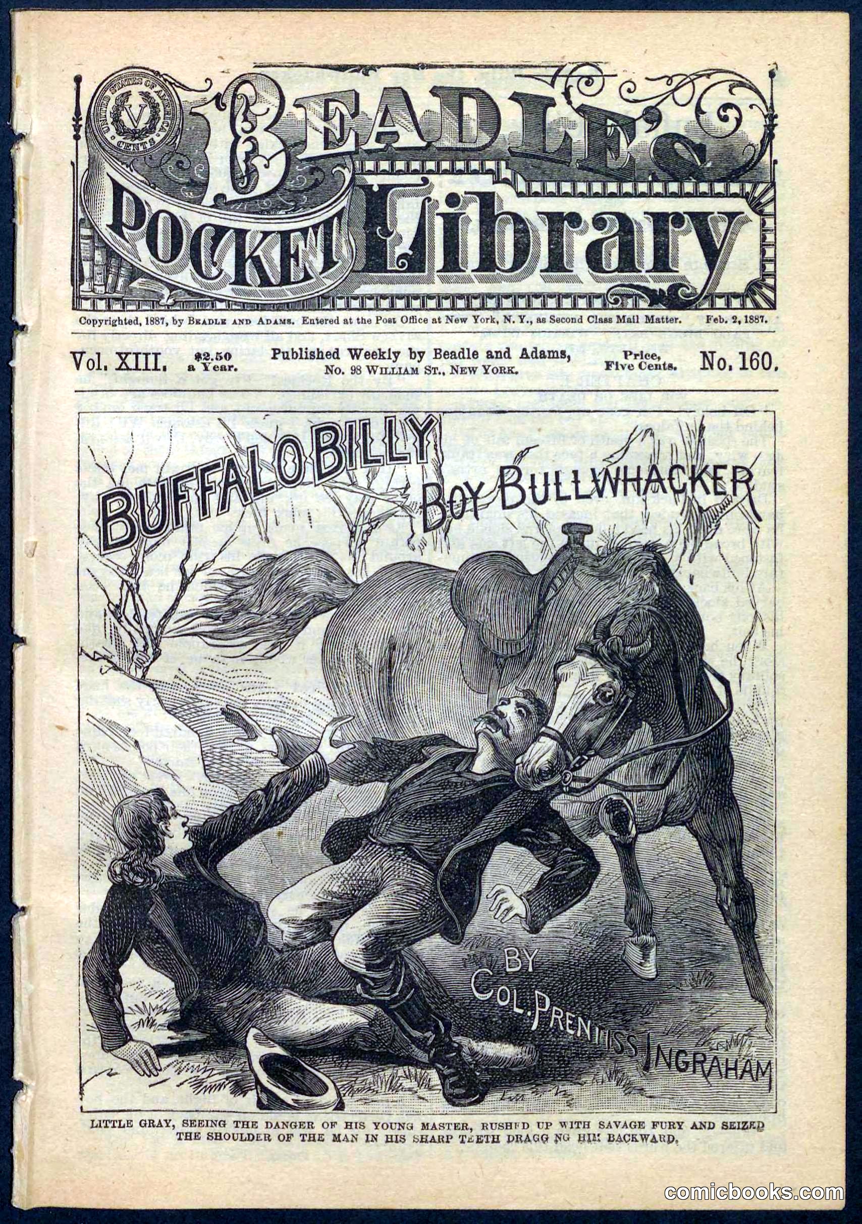Beadle's Pocket Library No. 160