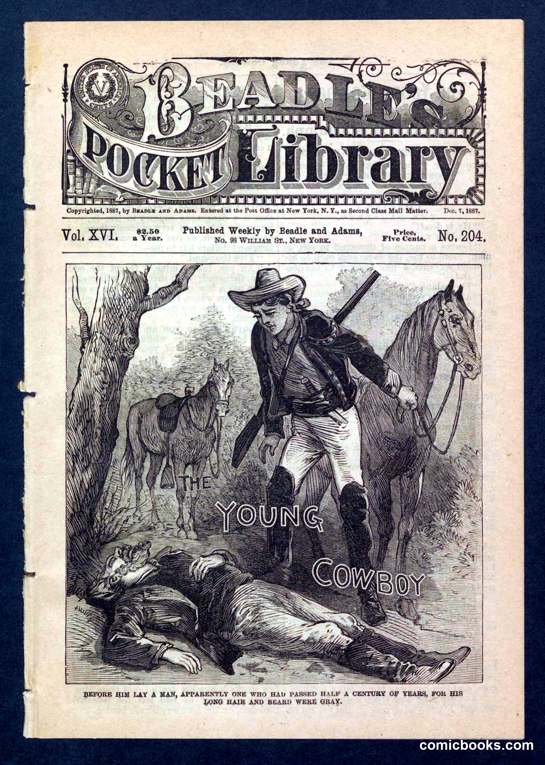 Beadle's Pocket Library, No. 204
