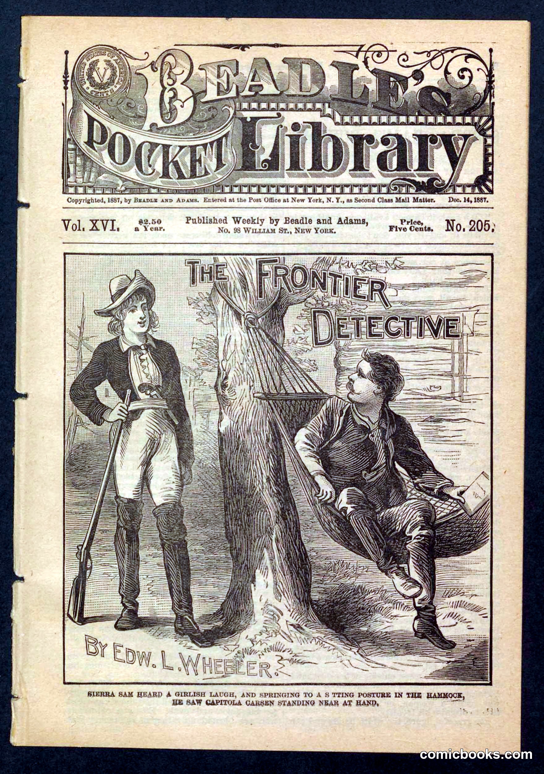 The Frontier Detective