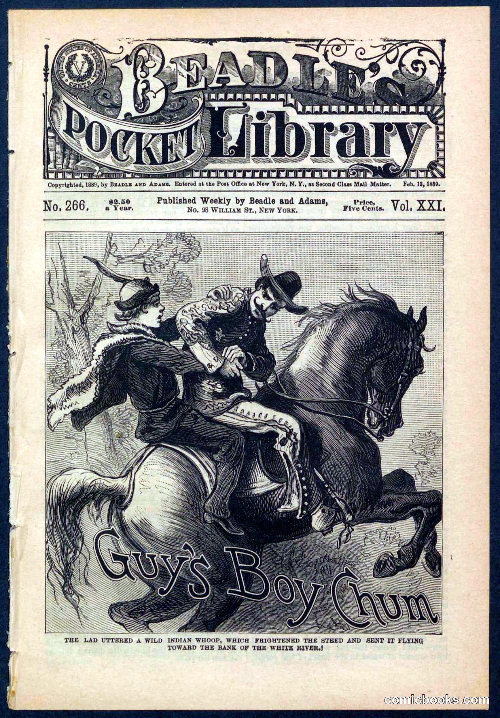 Beadle's Pocket Library No. 266
