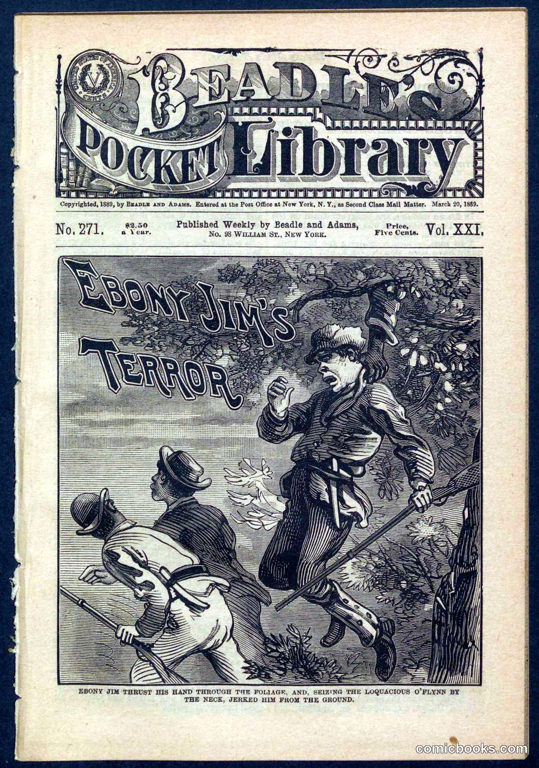 Beadle's Pocket Library No. 271