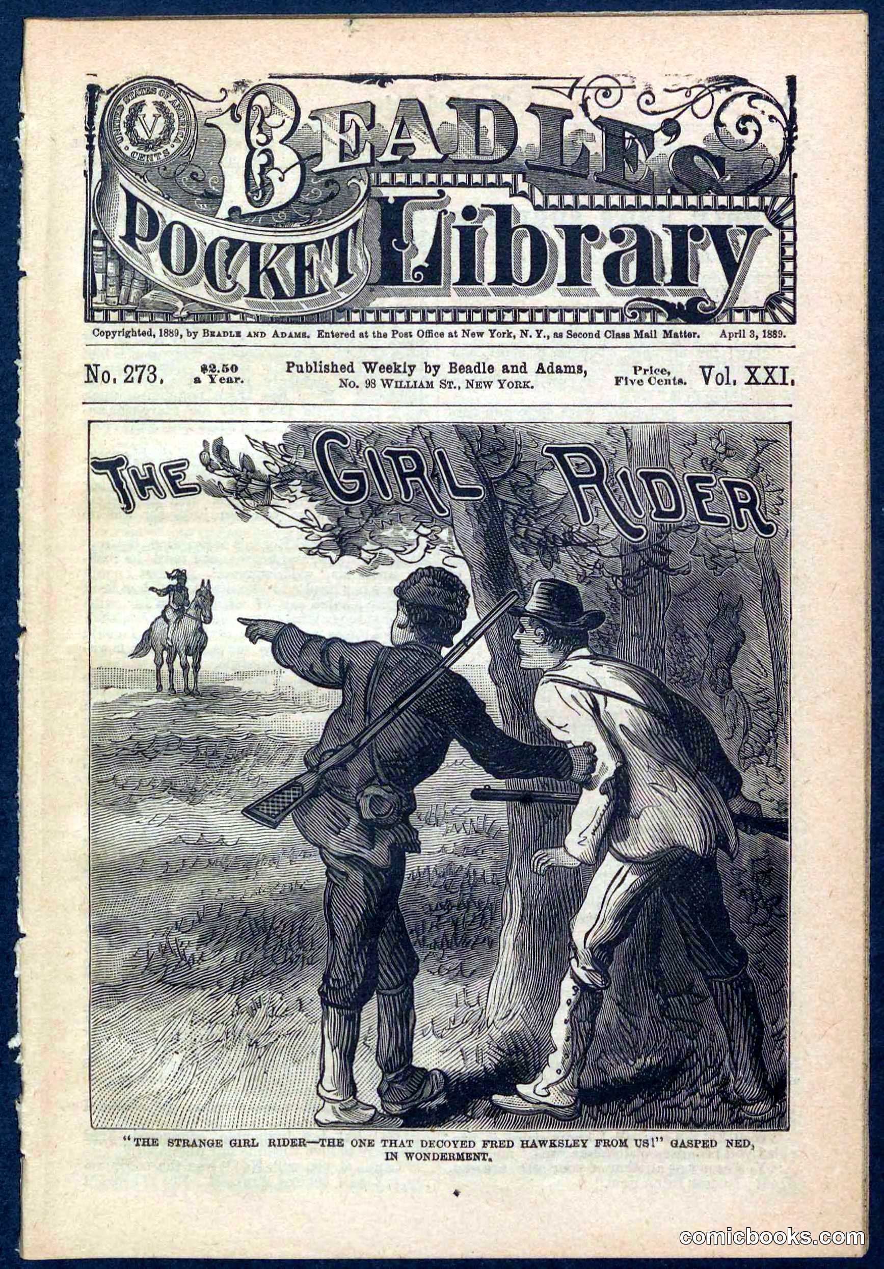 Beadle's Pocket Library No. 273