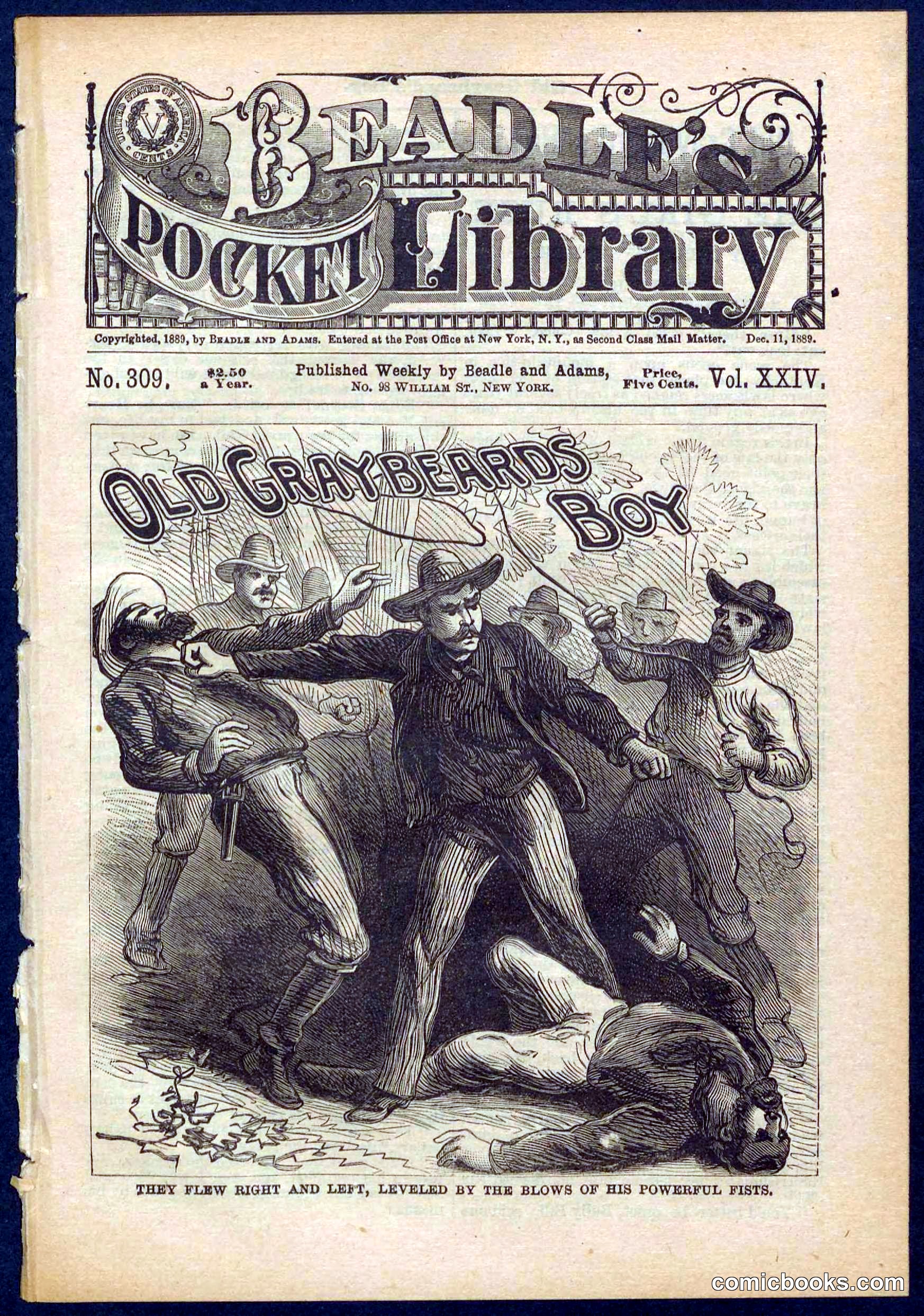 Beadle's Pocket Library No. 309
