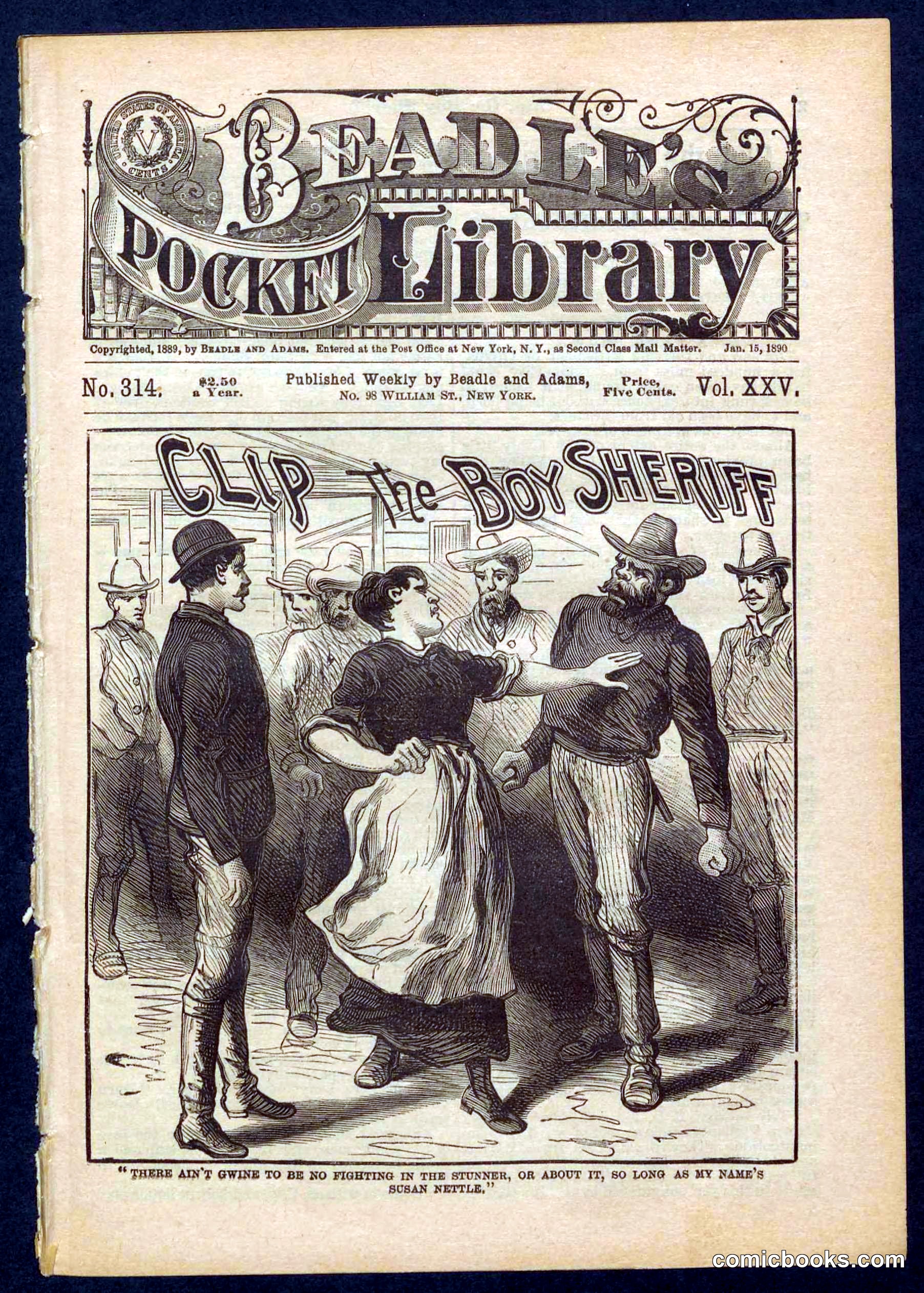 Beadle's Pocket Library No. 314
