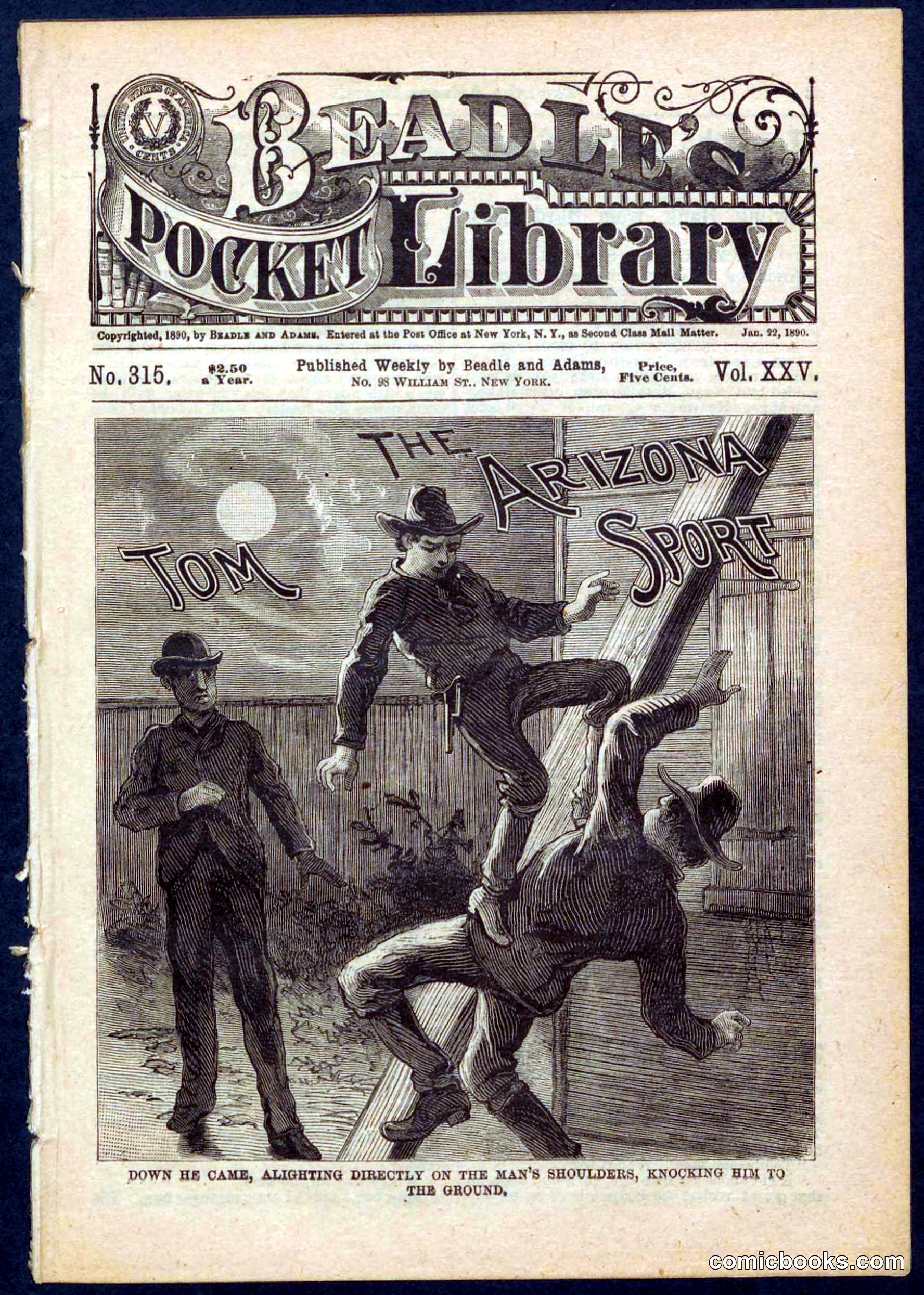 Beadle's Pocket Library No. 315