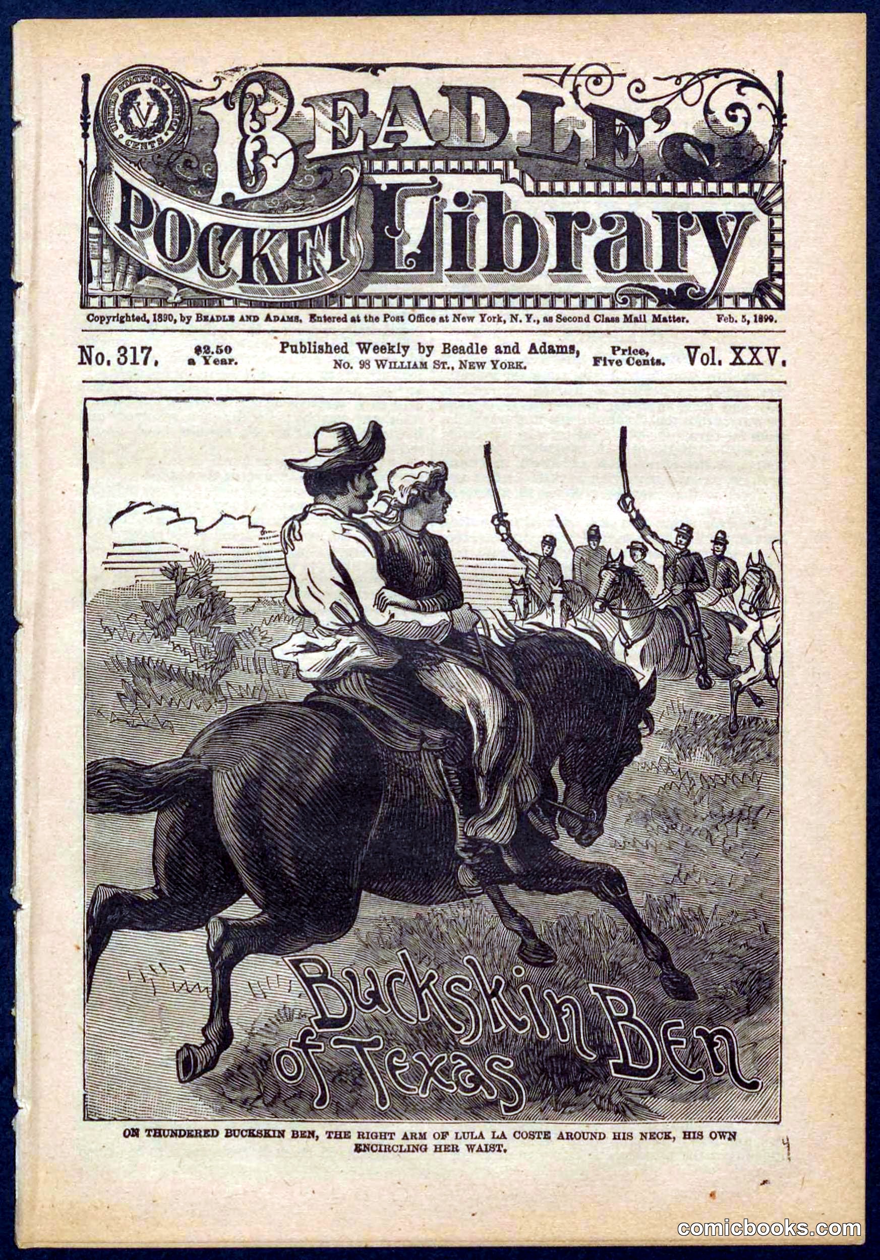 Beadle's Pocket Library No. 317
