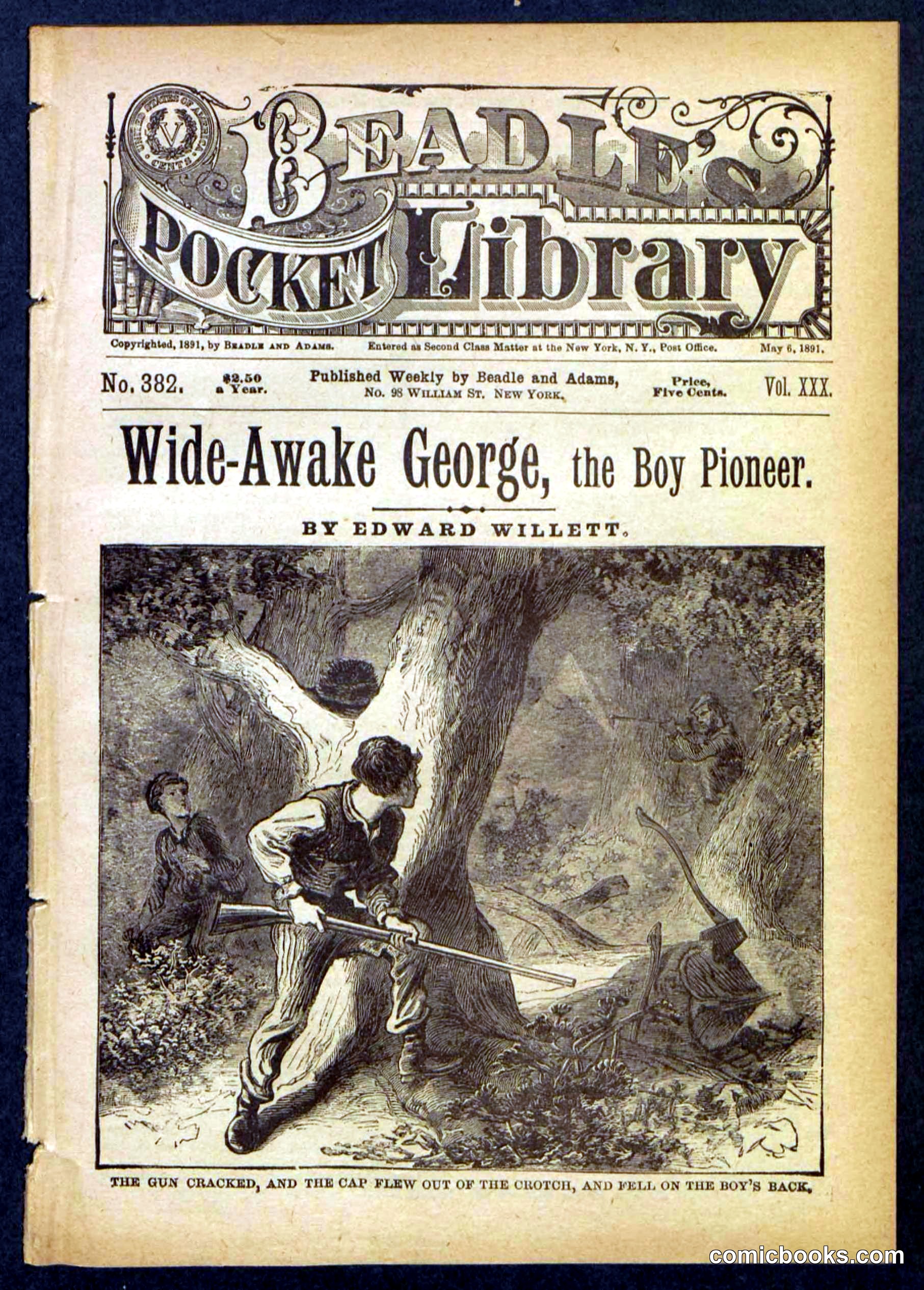 Beadle's Pocket Library No. 382