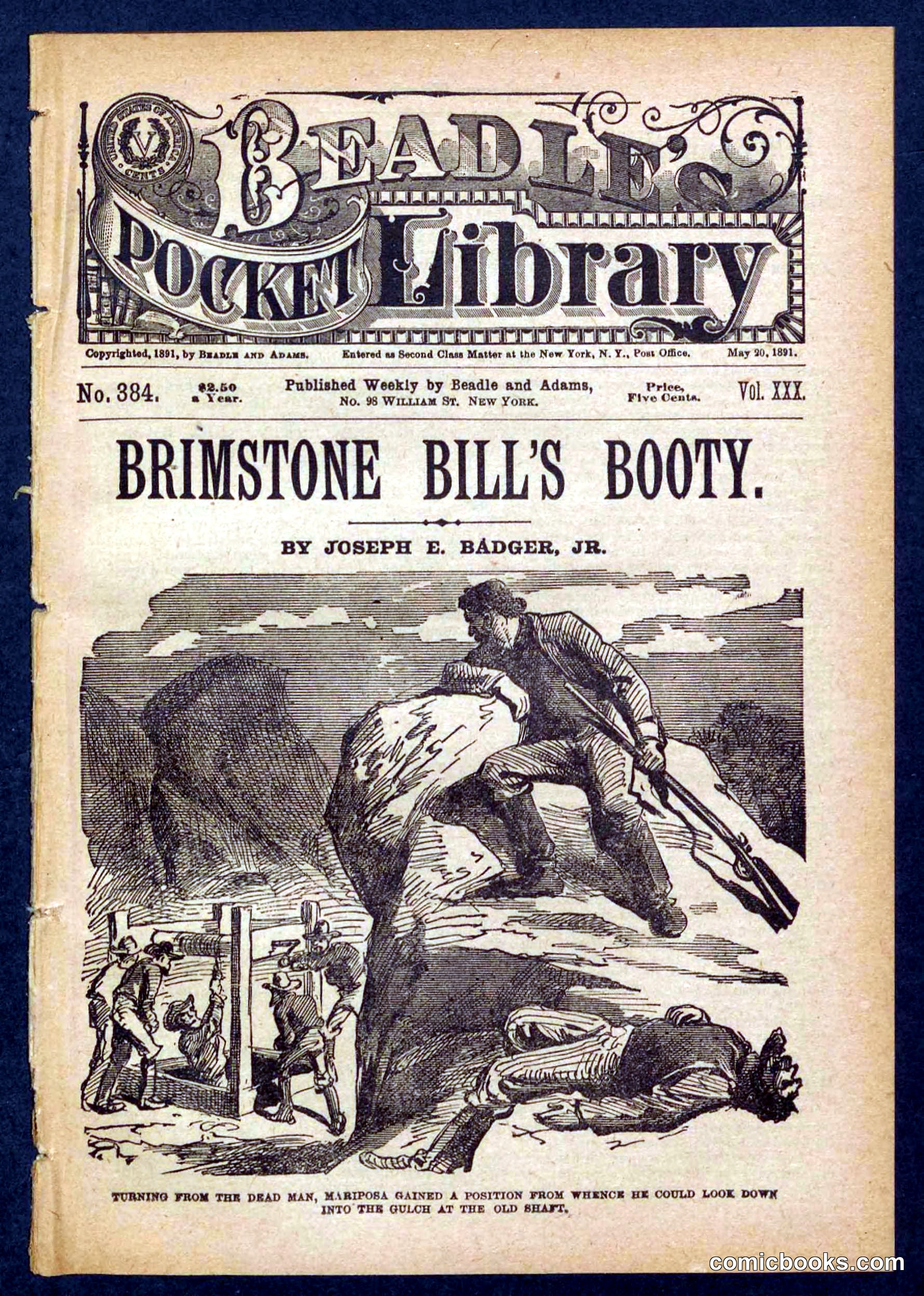 Beadle's Pocket Library No. 384: Brimstone Bill's Booty