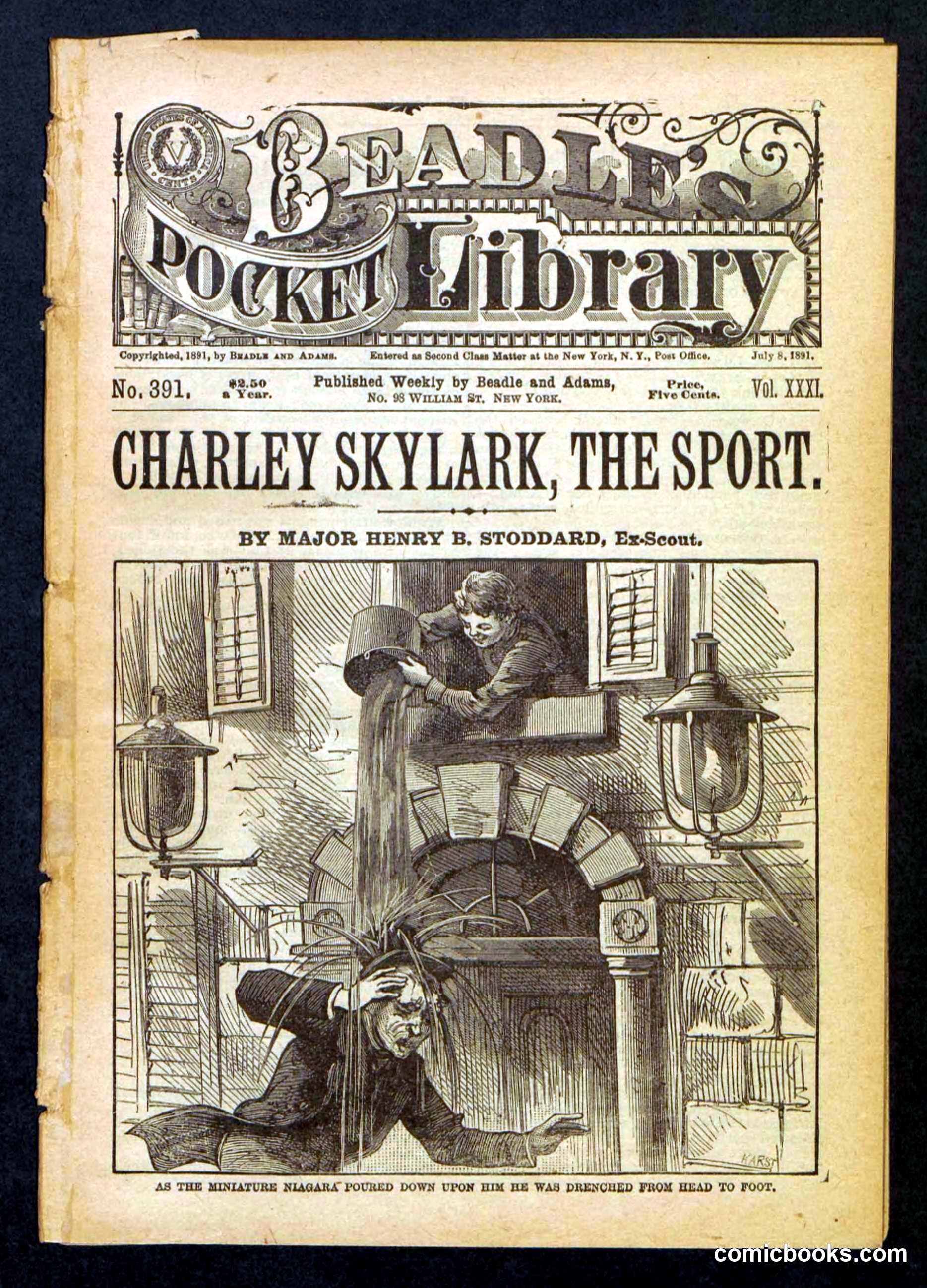 Beadle's Pocket Library No. 391