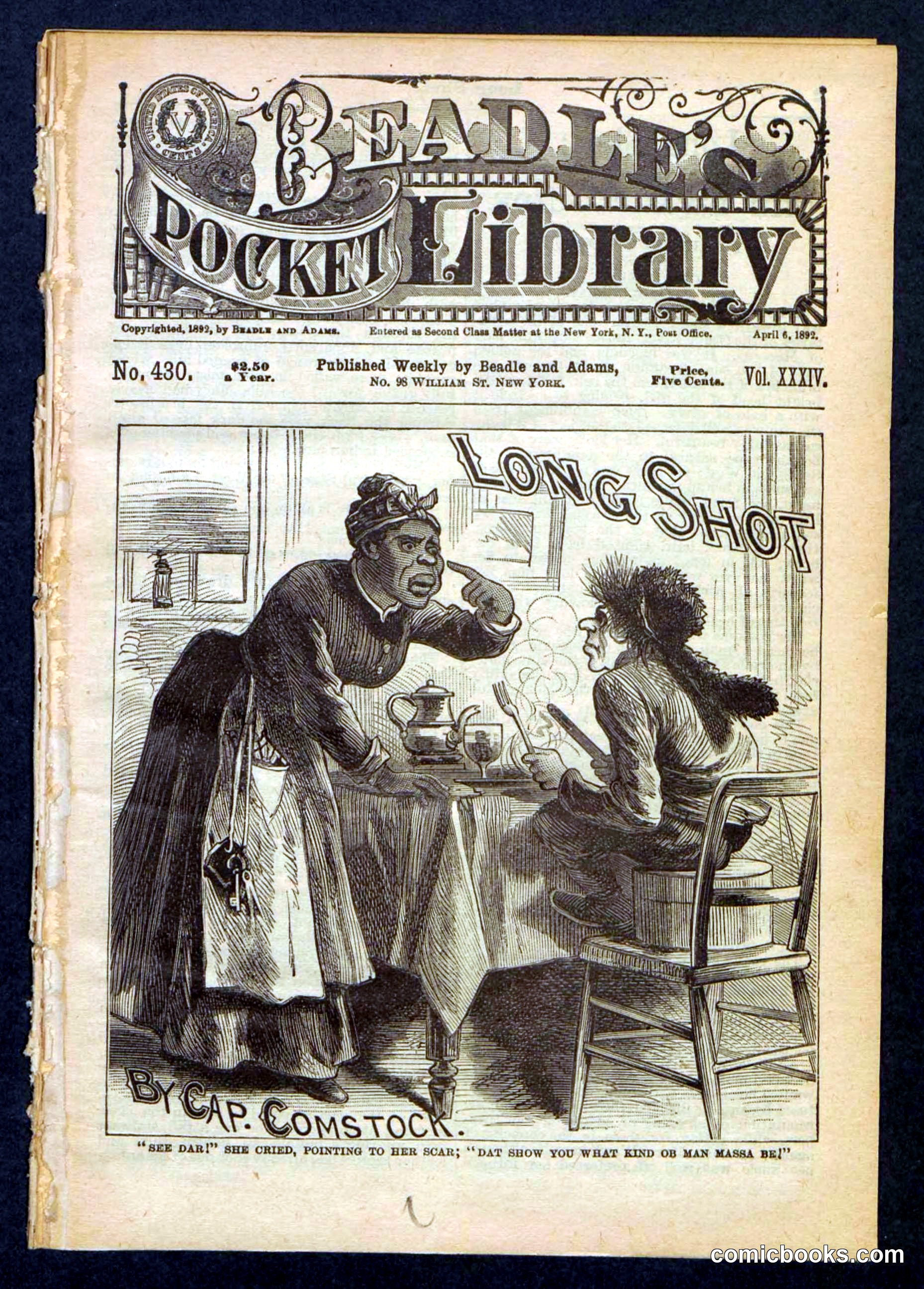Beadle's Pocket Library No. 430