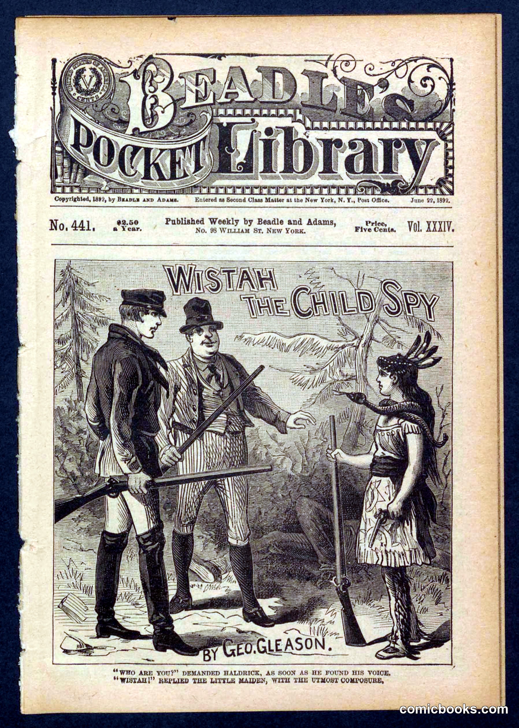 Beadle's Pocket Library No. 441