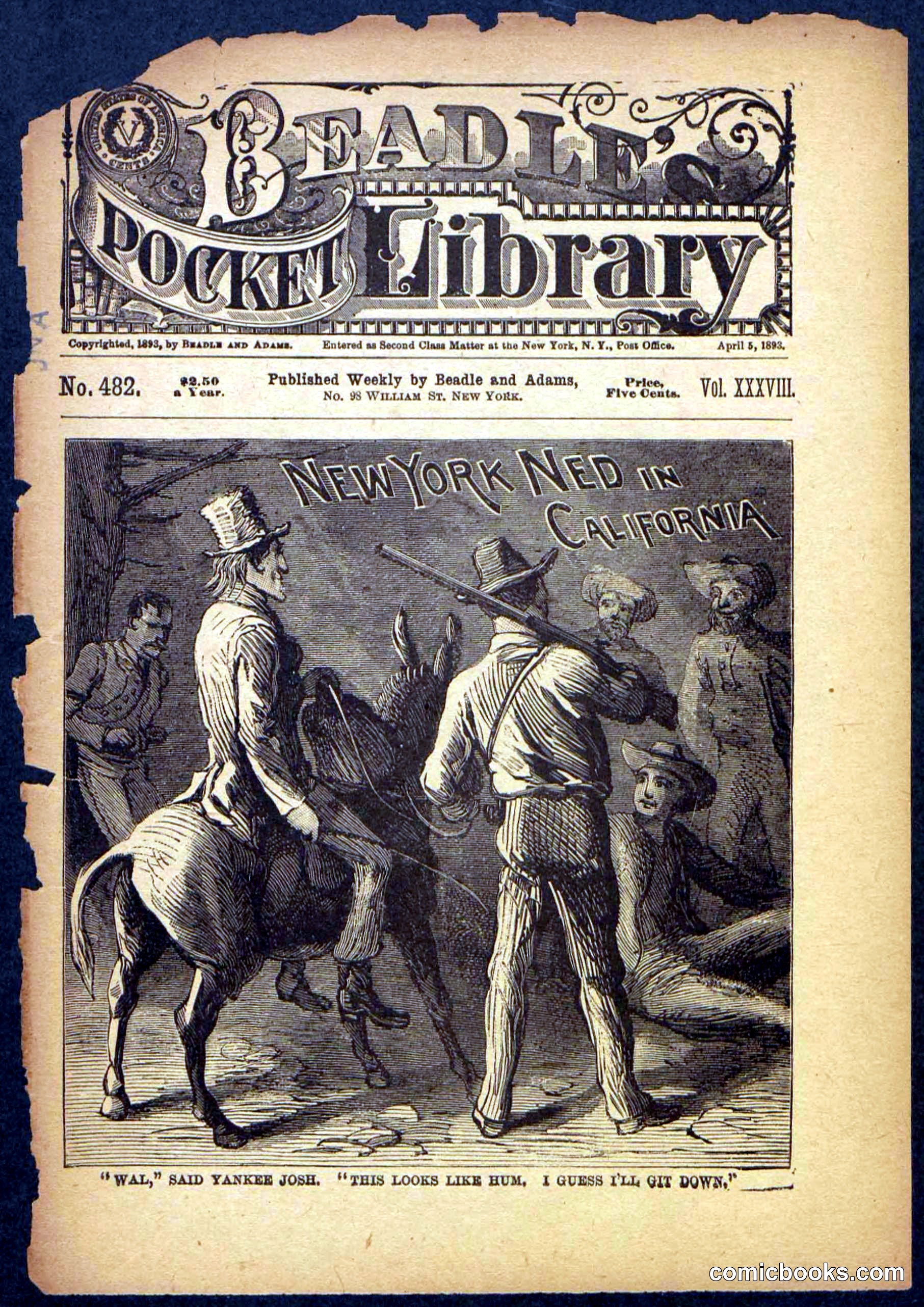 Beadle's Pocket Library No. 482