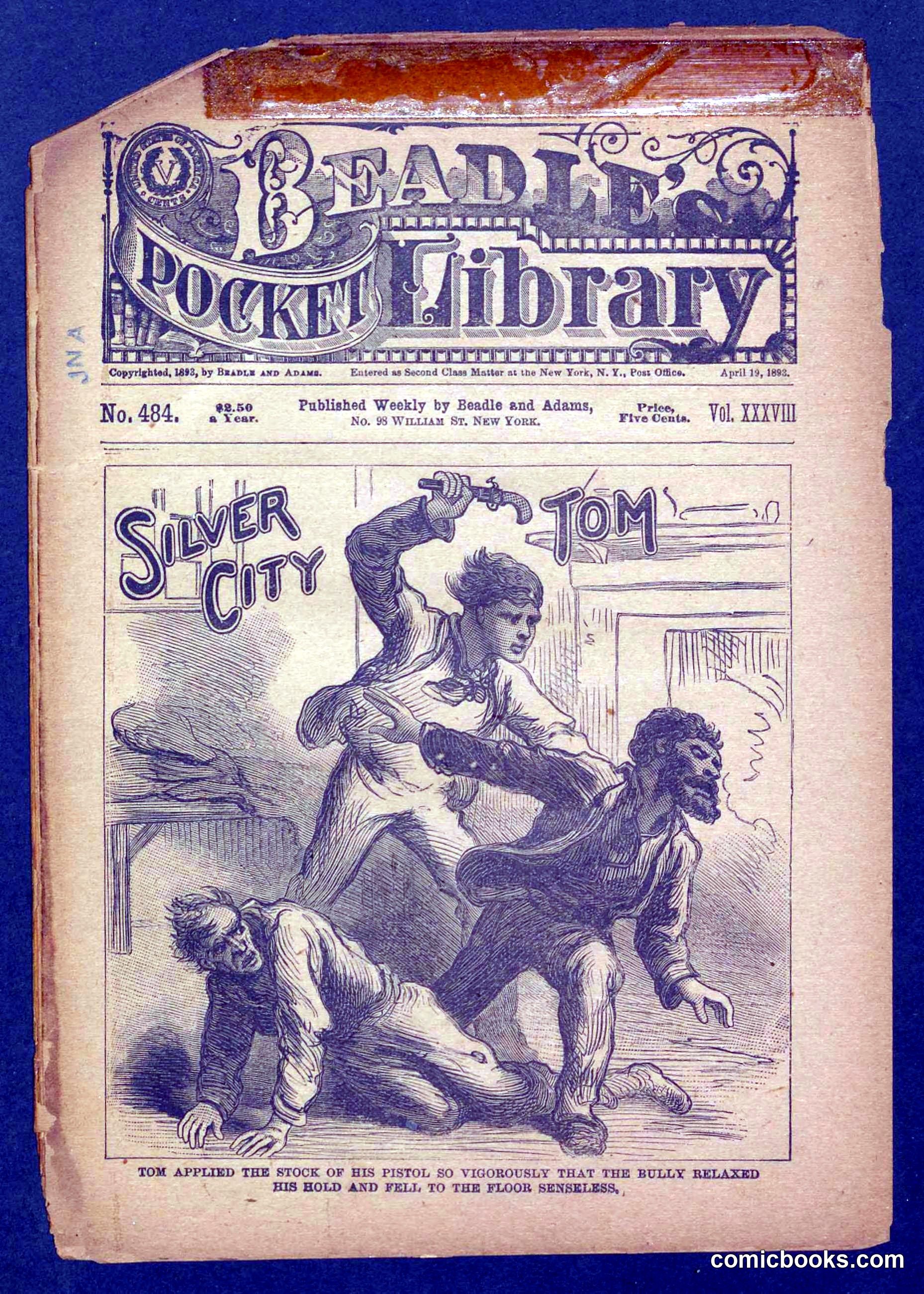 Beadle's Pocket Library No. 484