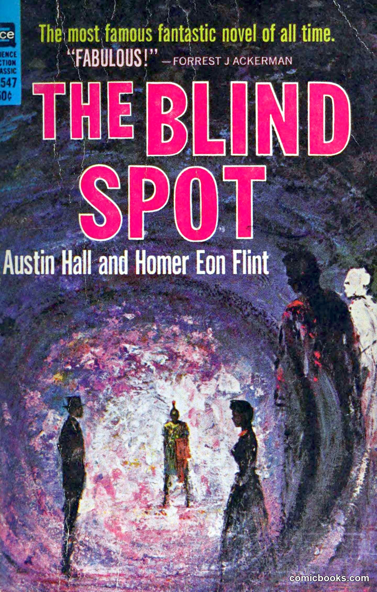 The Blind Spot