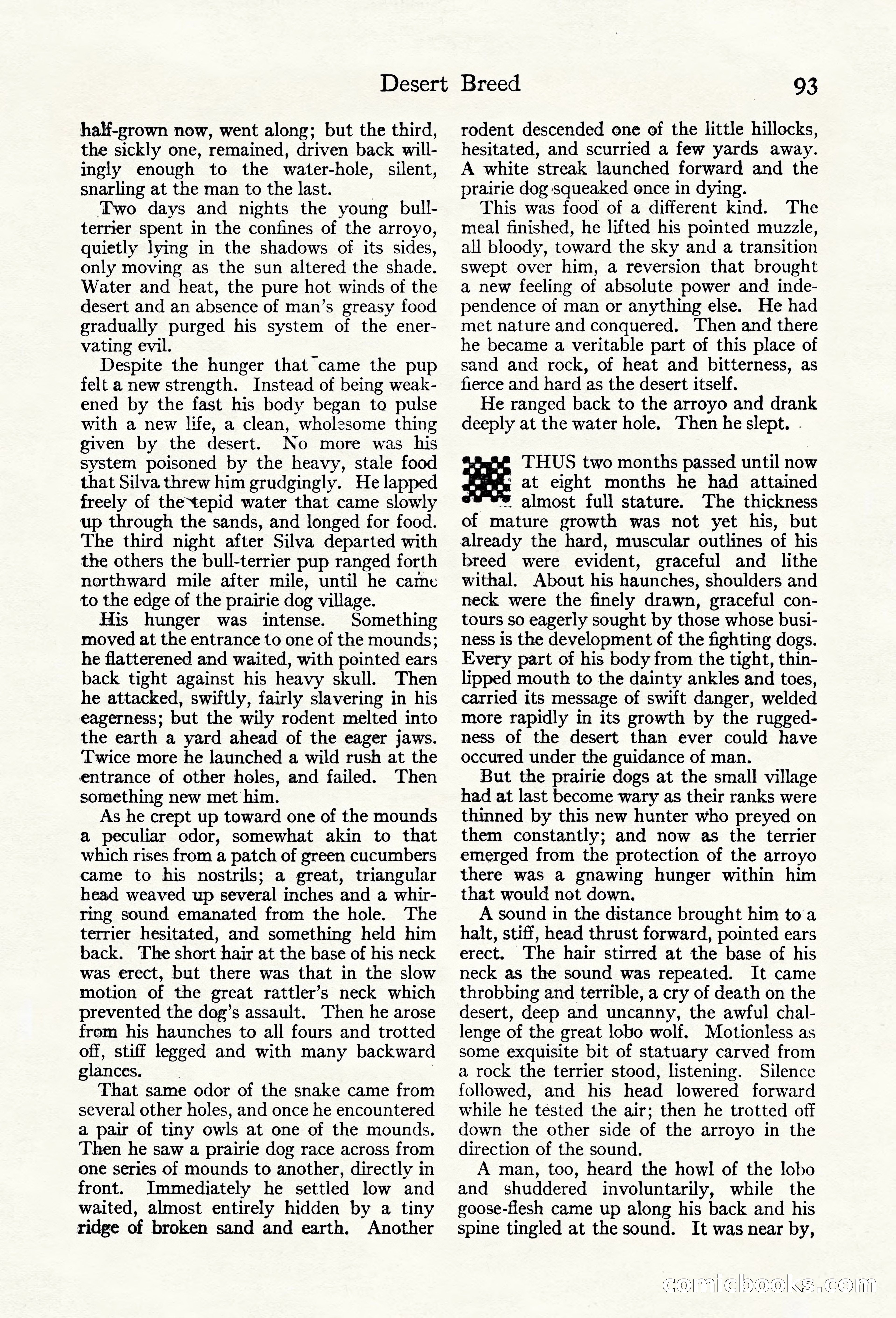 Adventure Magazine Cover — page 99 of 200