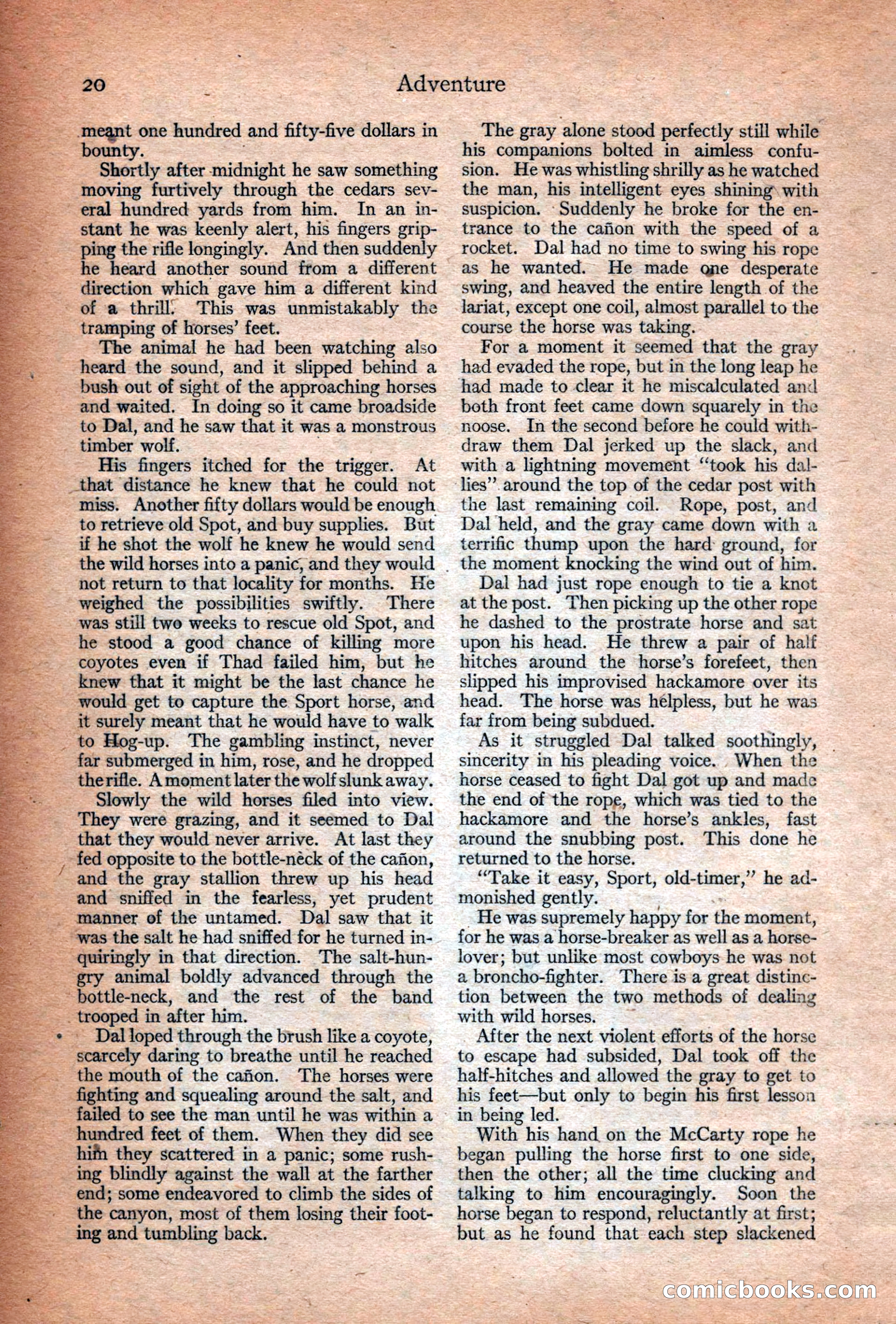 Adventure Magazine Cover — page 22 of 196