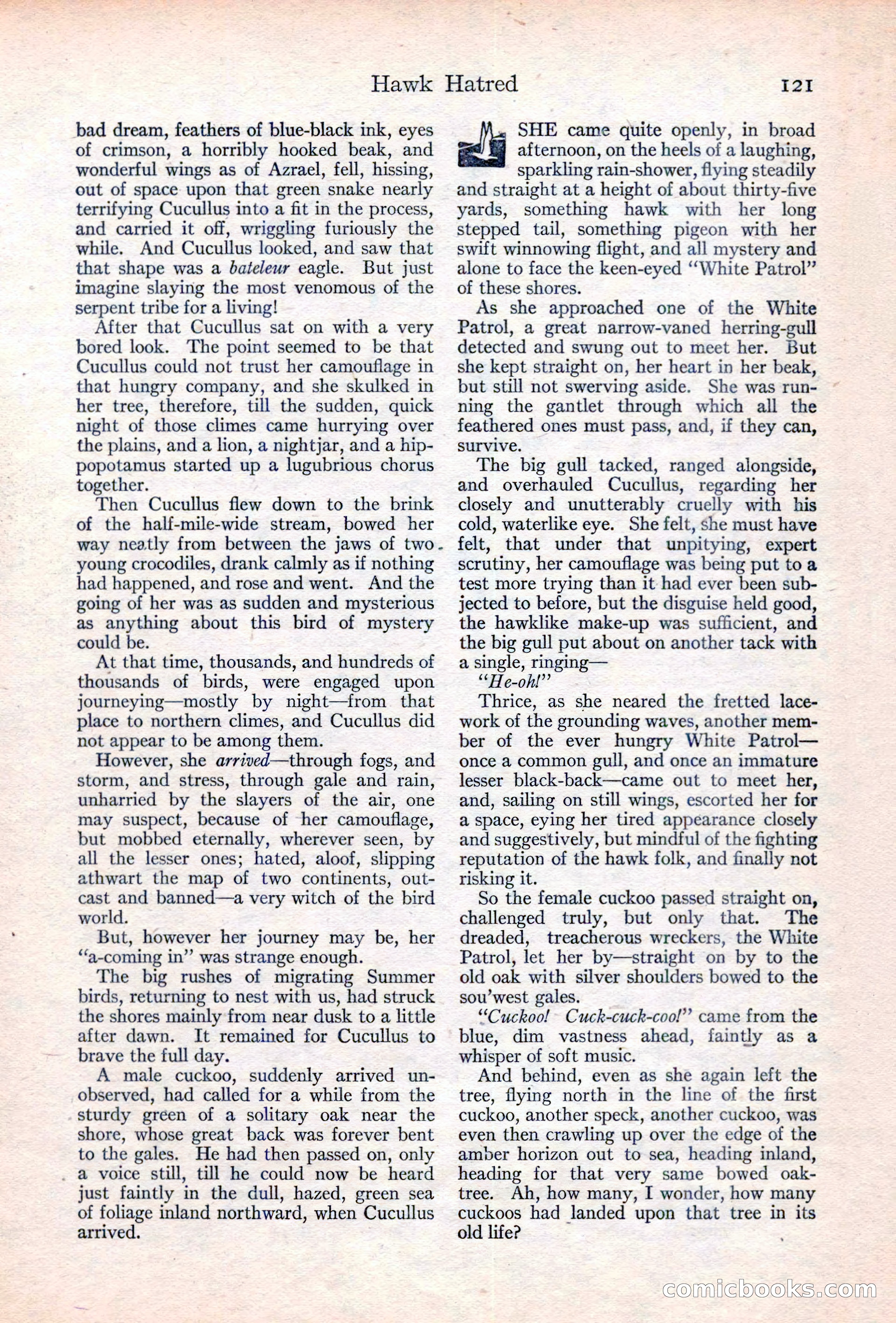 Adventure Magazine Cover, June 20, 1923 — page 123 of 196