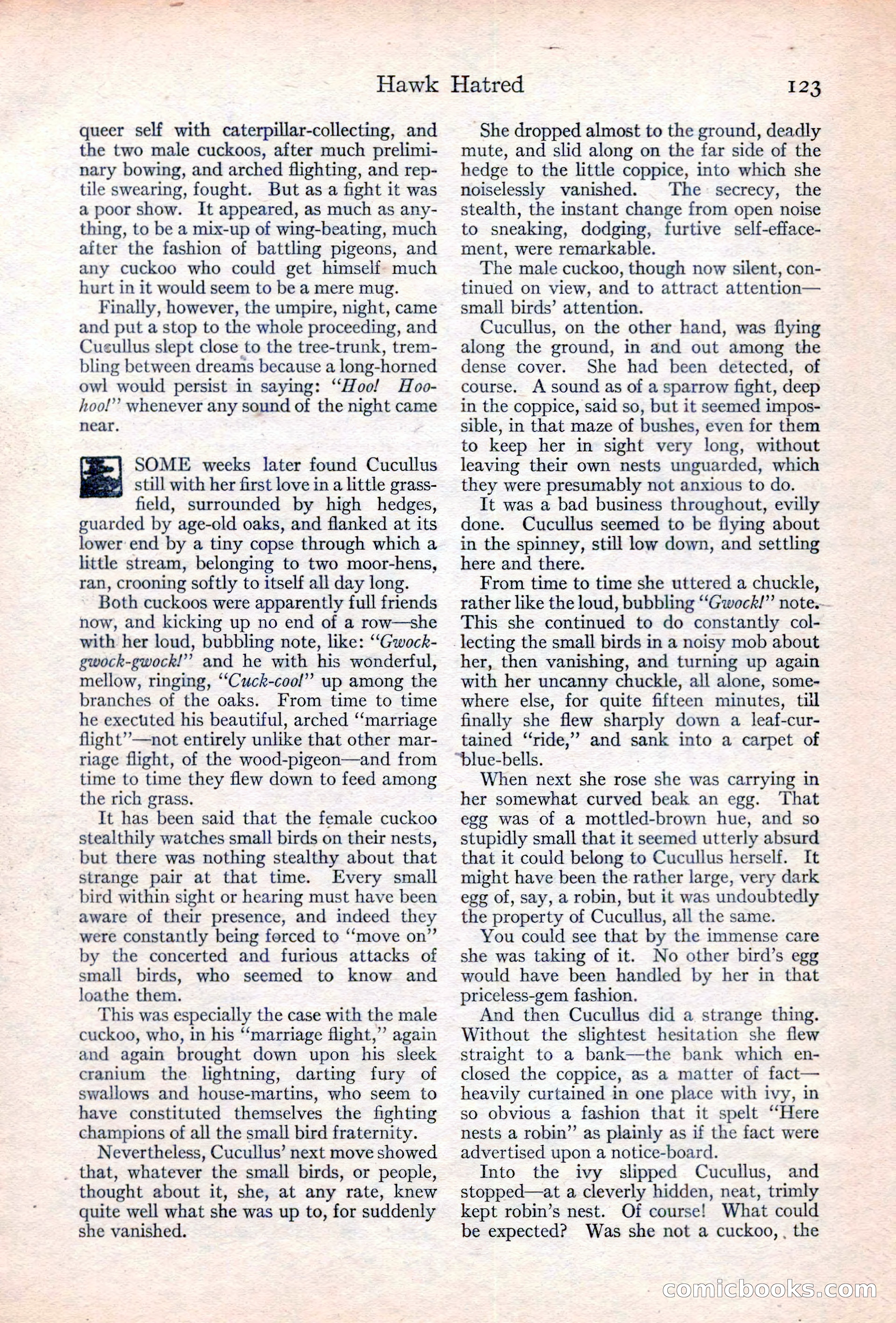 Adventure Magazine Cover, June 20, 1923 — page 125 of 196