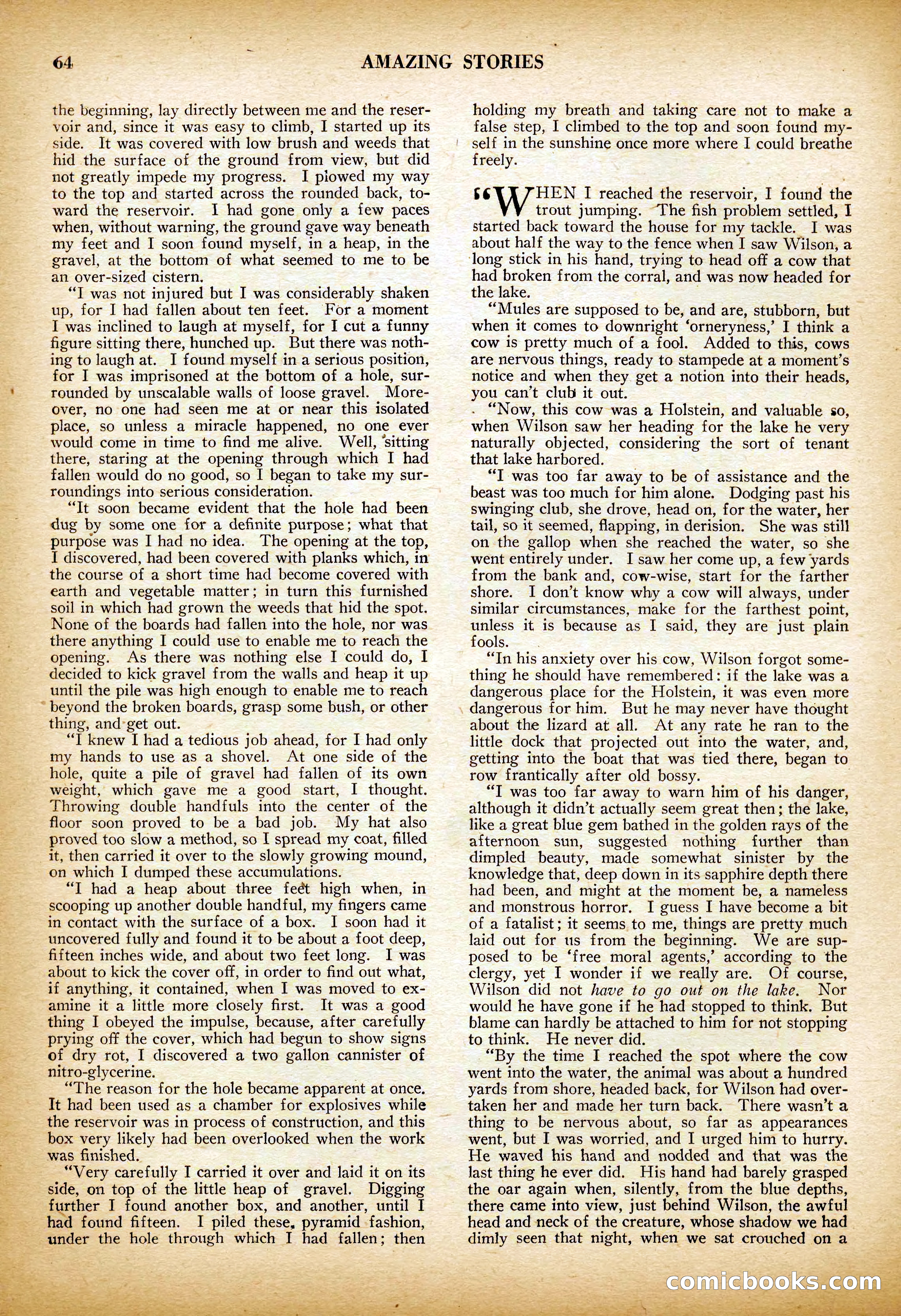 Amazing Stories, Vol. 3 No. 1 — page 67 of 101