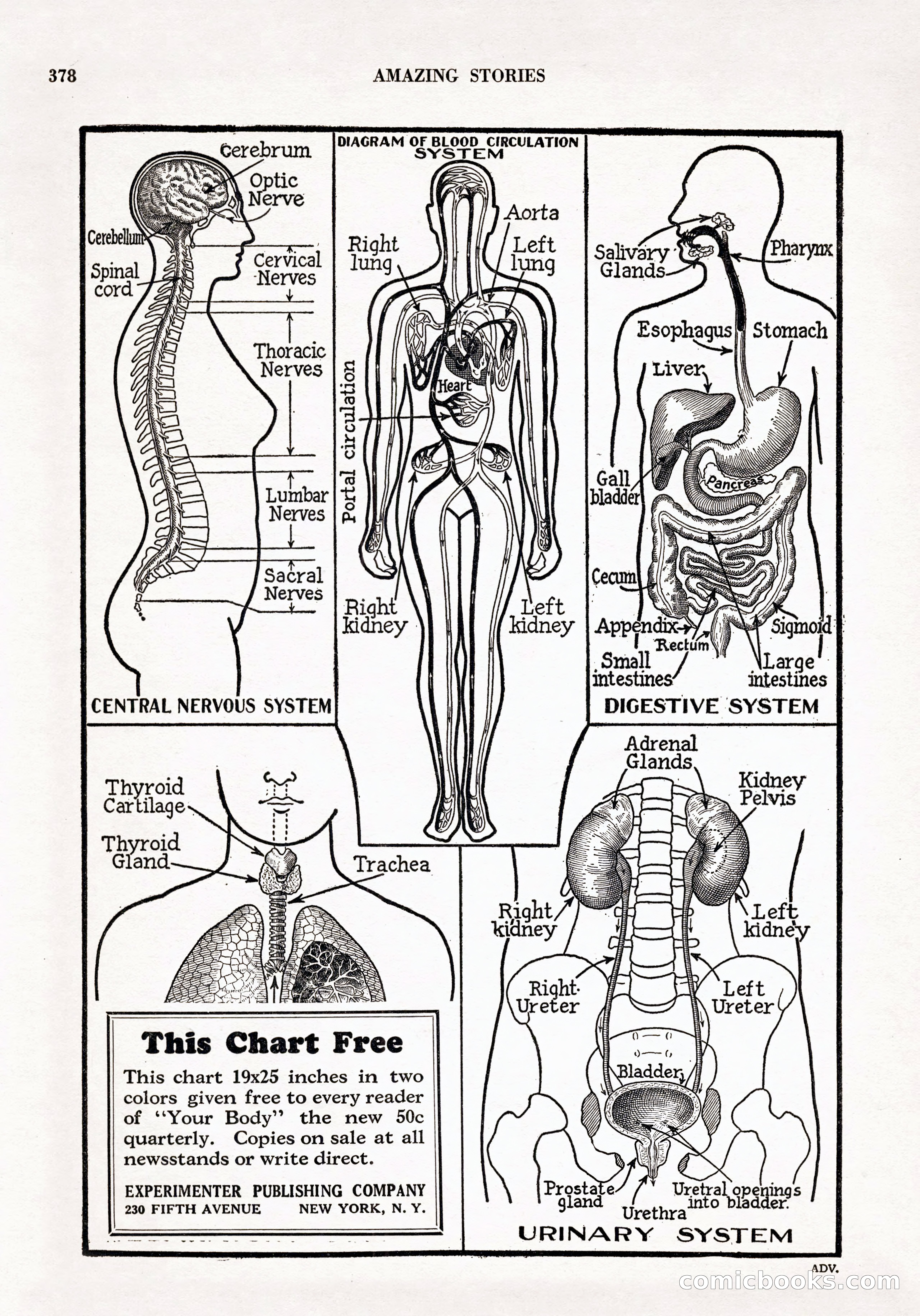 Amazing Stories, Vol. 3 No. 4 — page 92 of 96