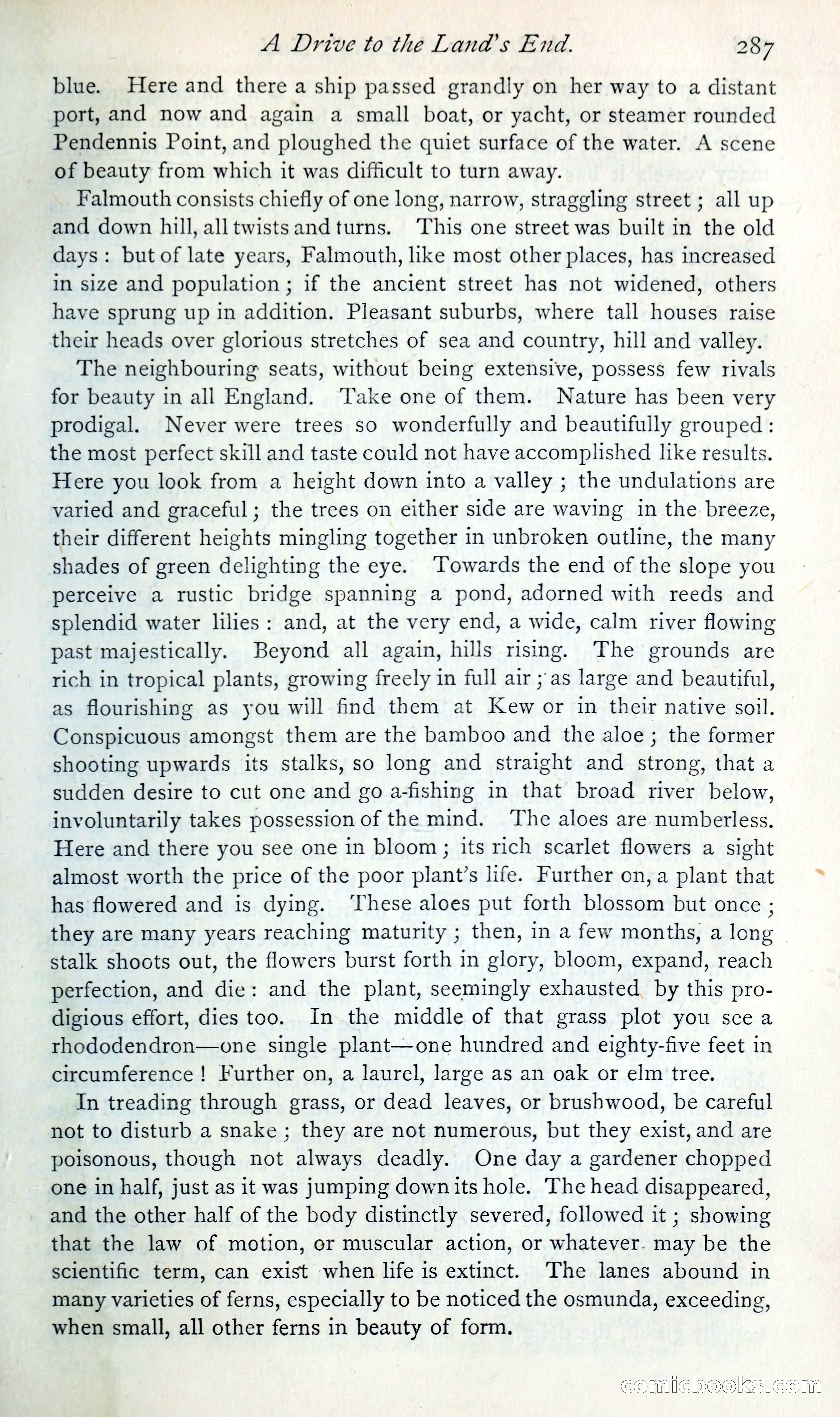 The Argosy — page 308 of 400