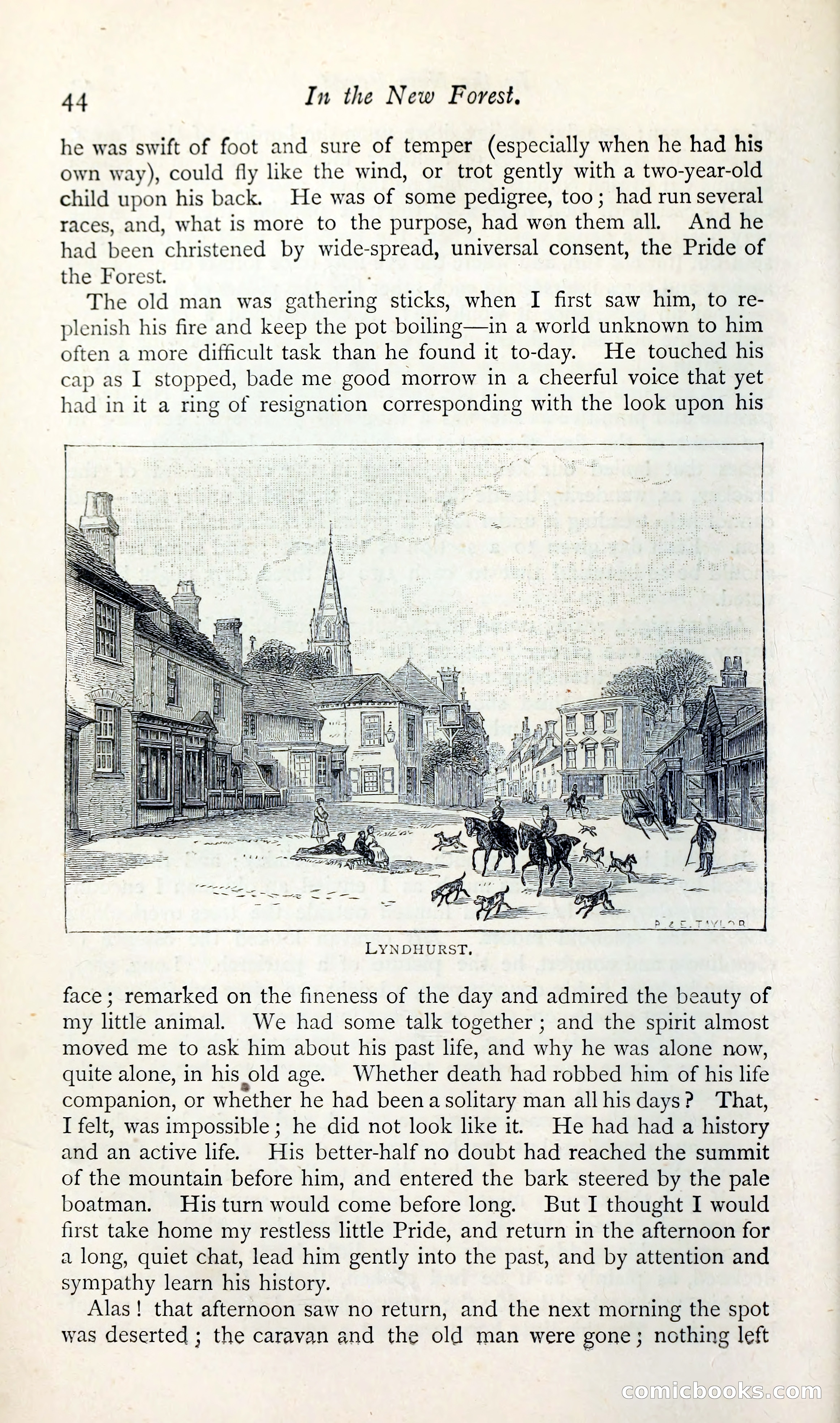 The Argosy — page 57 of 400