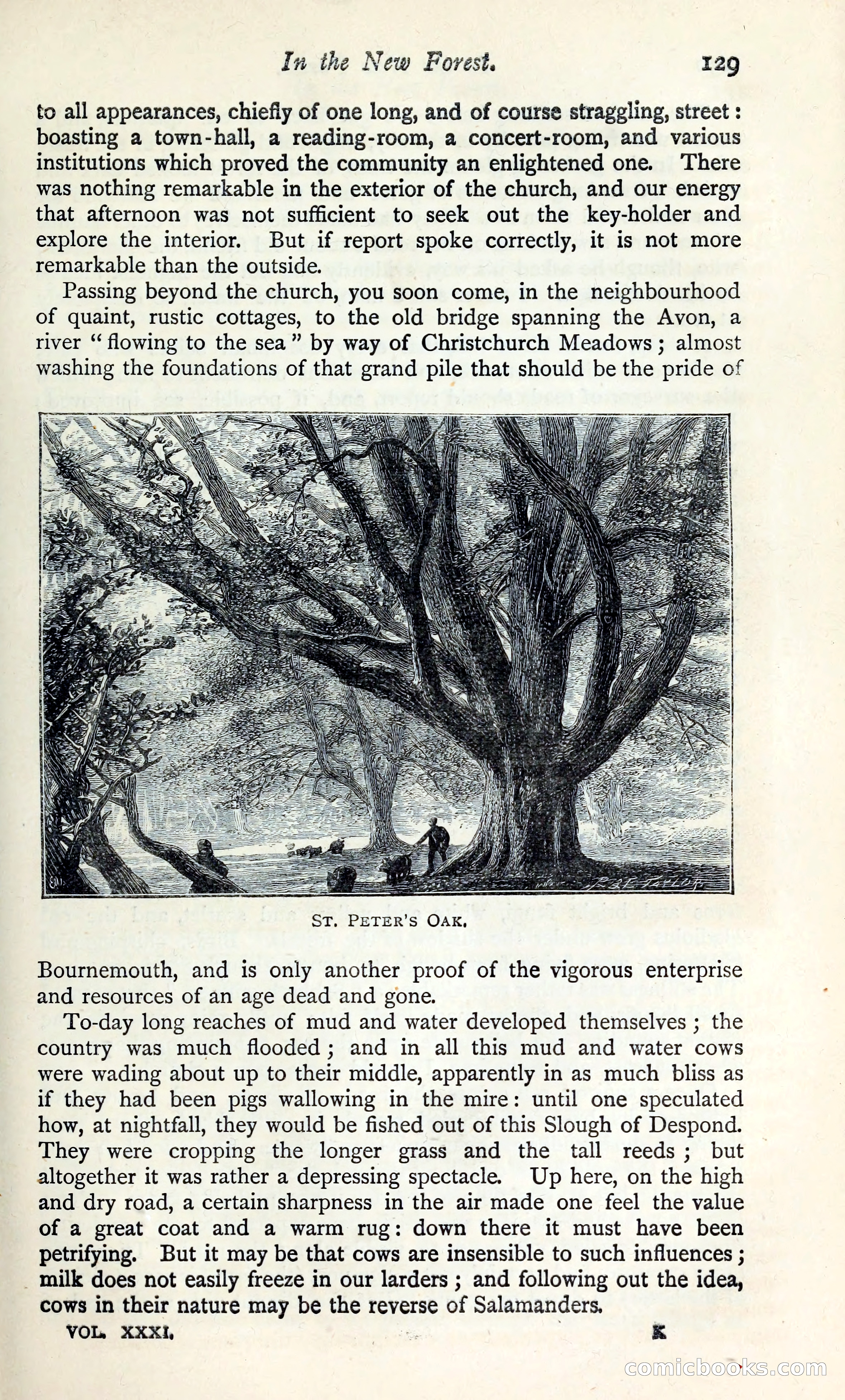 The Argosy — page 144 of 400