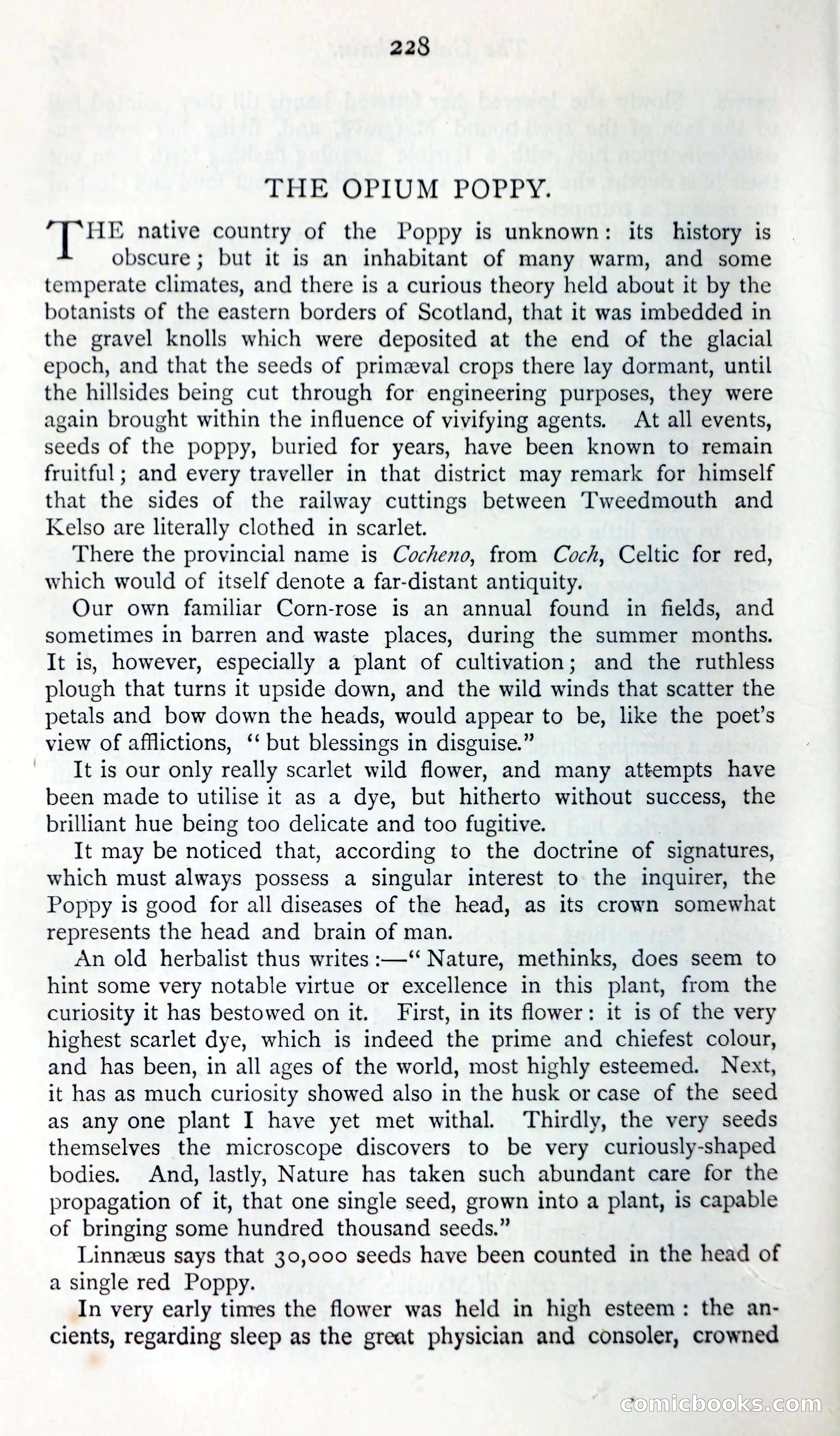 The Argosy — page 247 of 400