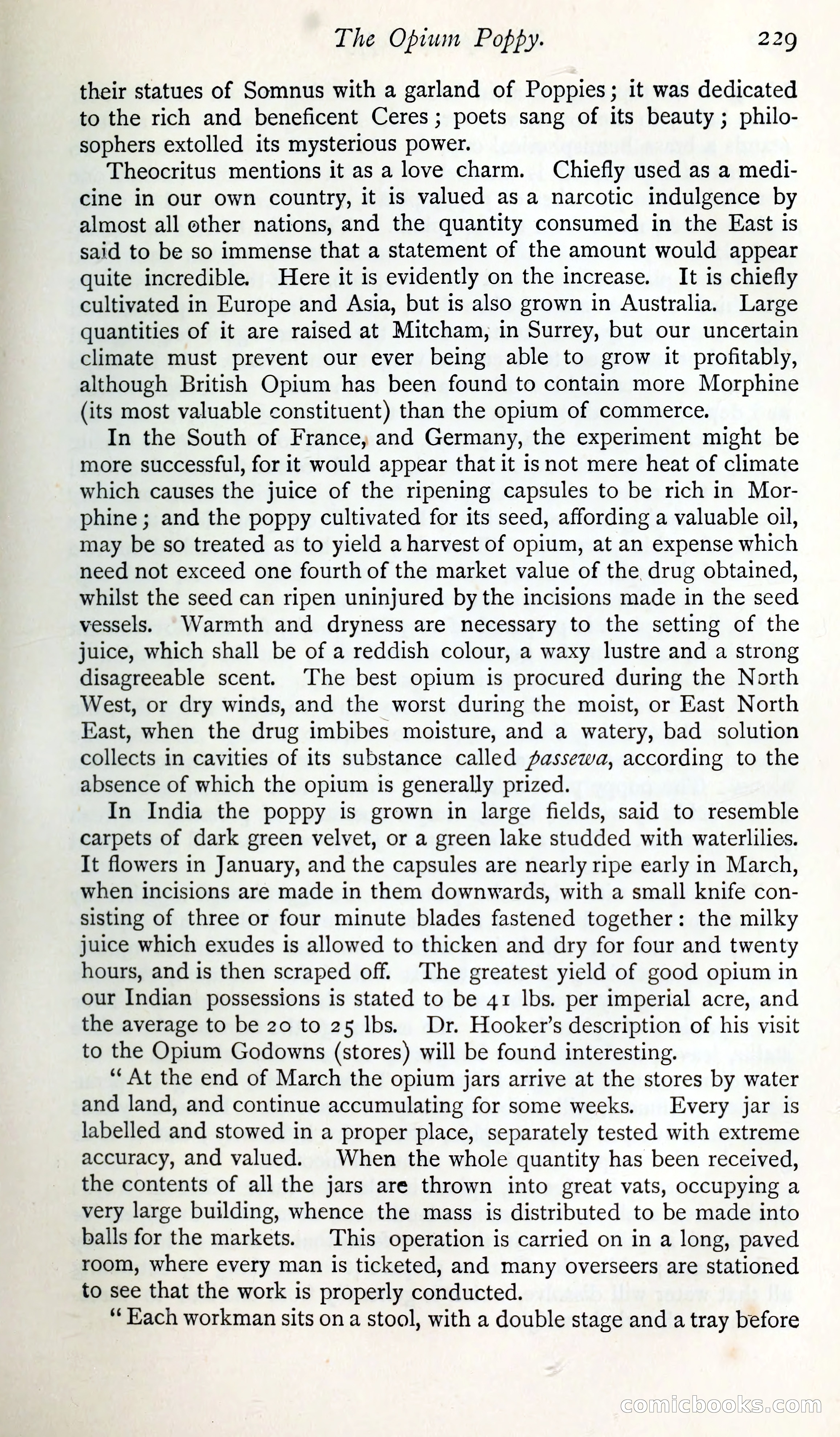 The Argosy — page 248 of 400