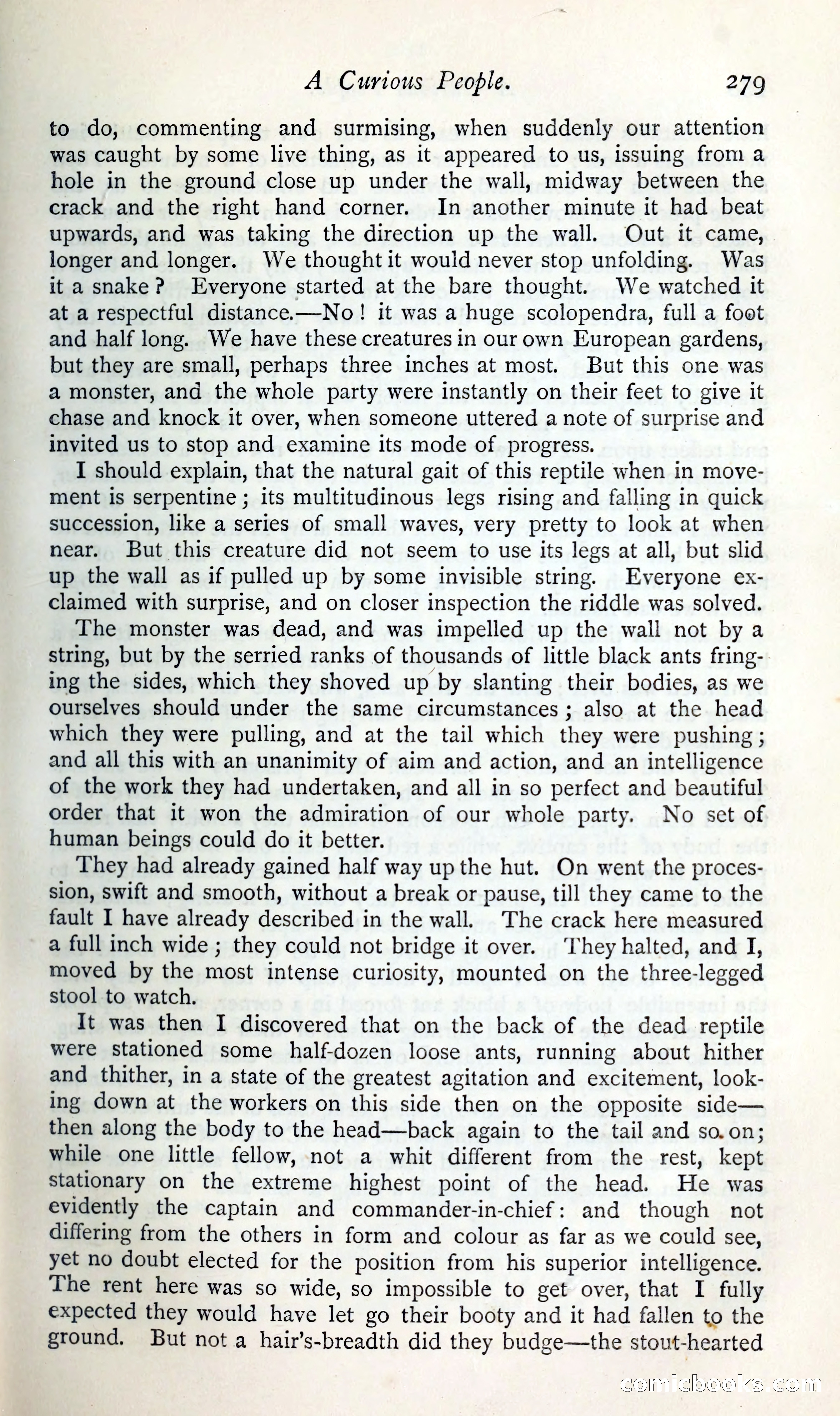 The Argosy — page 300 of 400