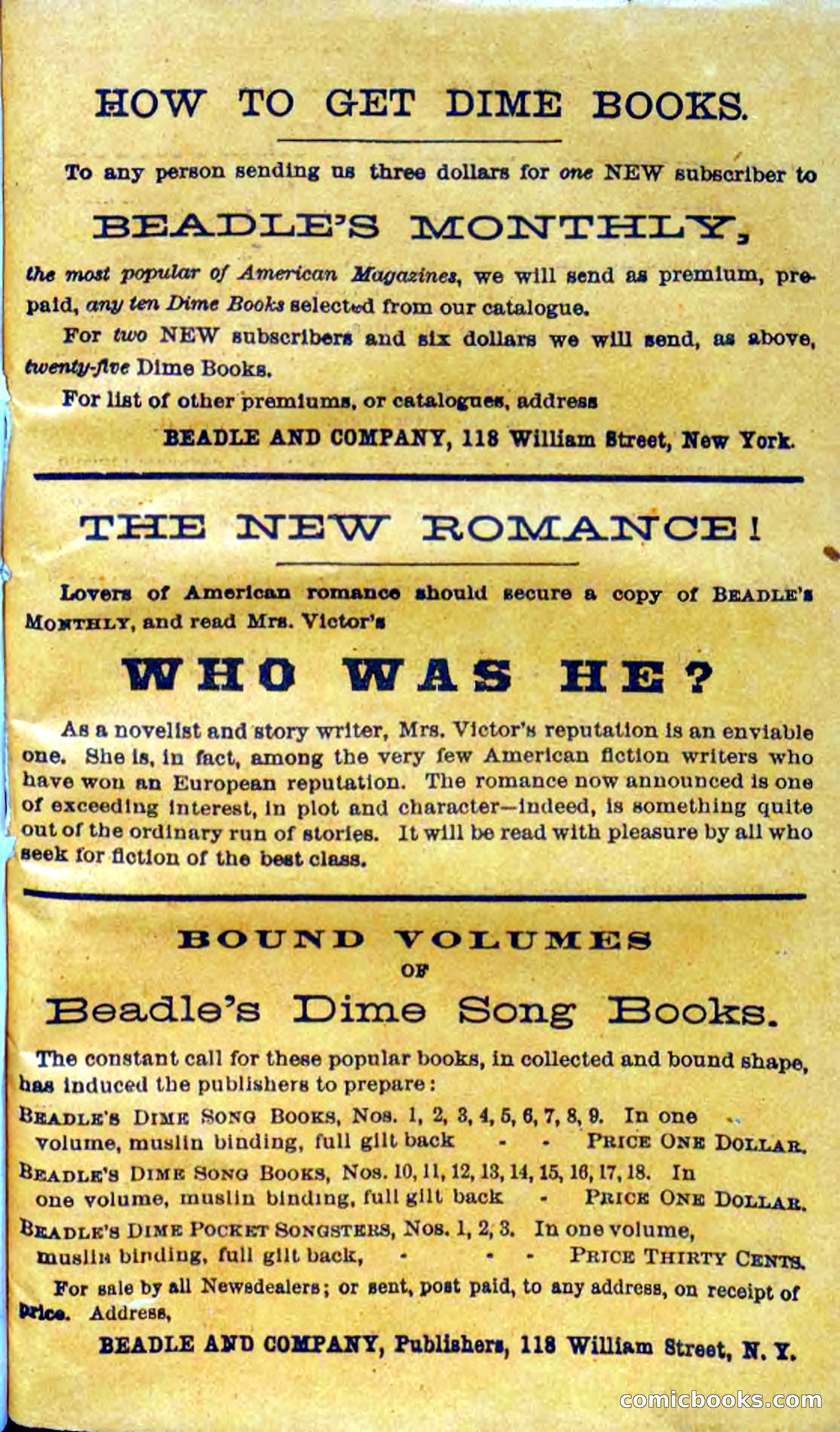 Beadle's Dime Novels No. 113: Rattlepate — page 99 of 100