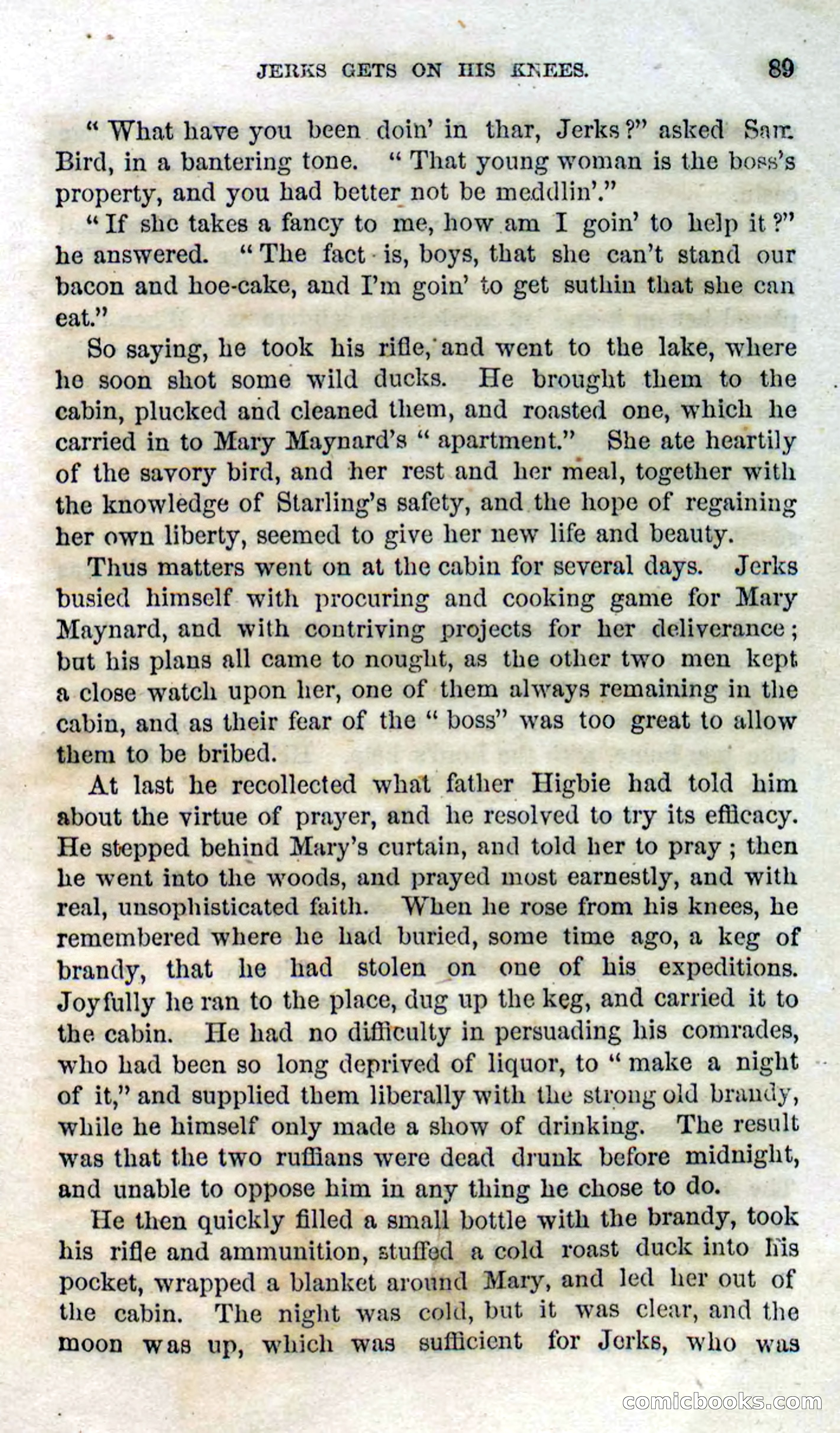 Beadle's Dime Novels No. 114: Ned Starling — page 87 of 100
