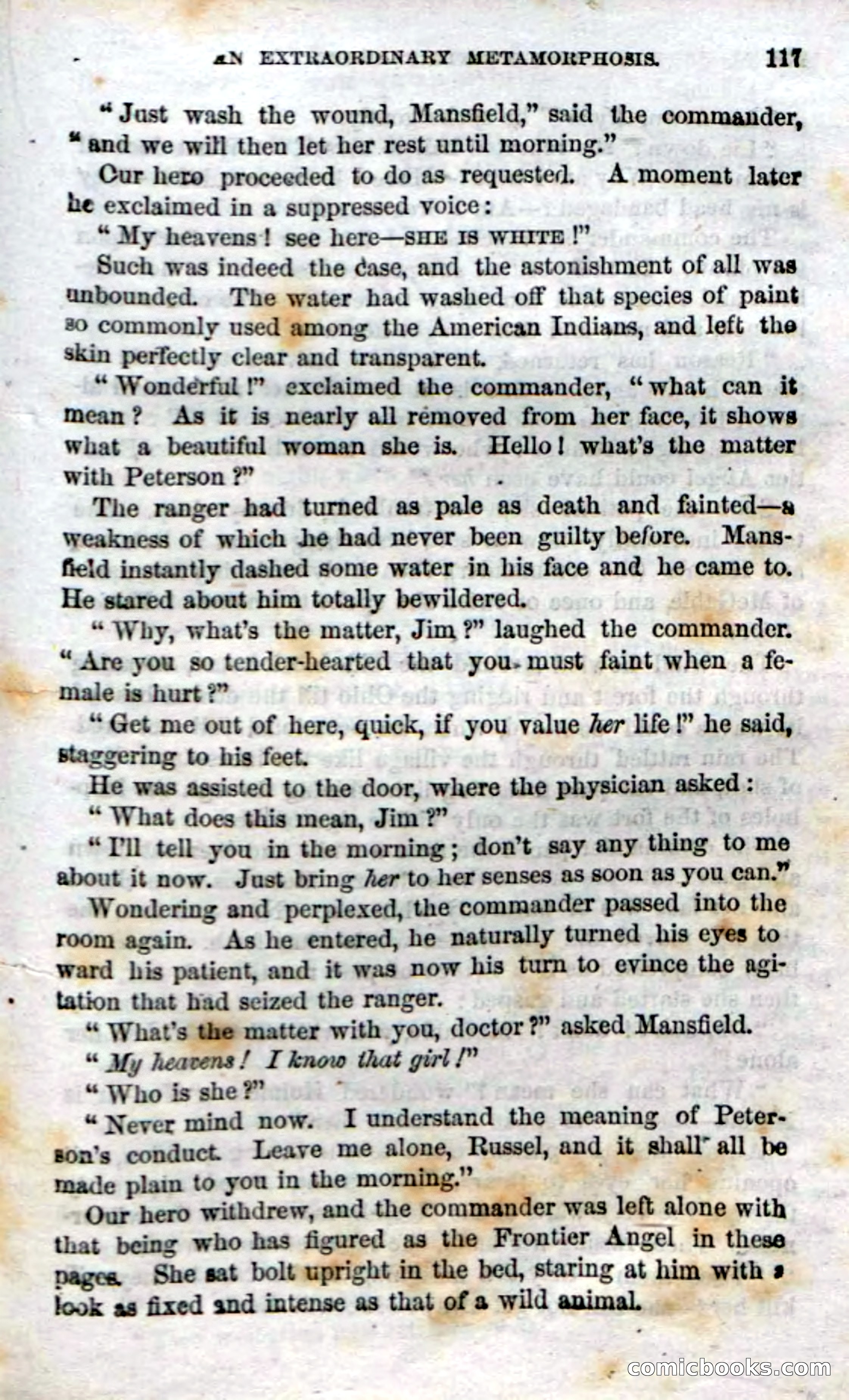 Beadle's Dime Novels No. 15: The Frontier Angel — page 119 of 132