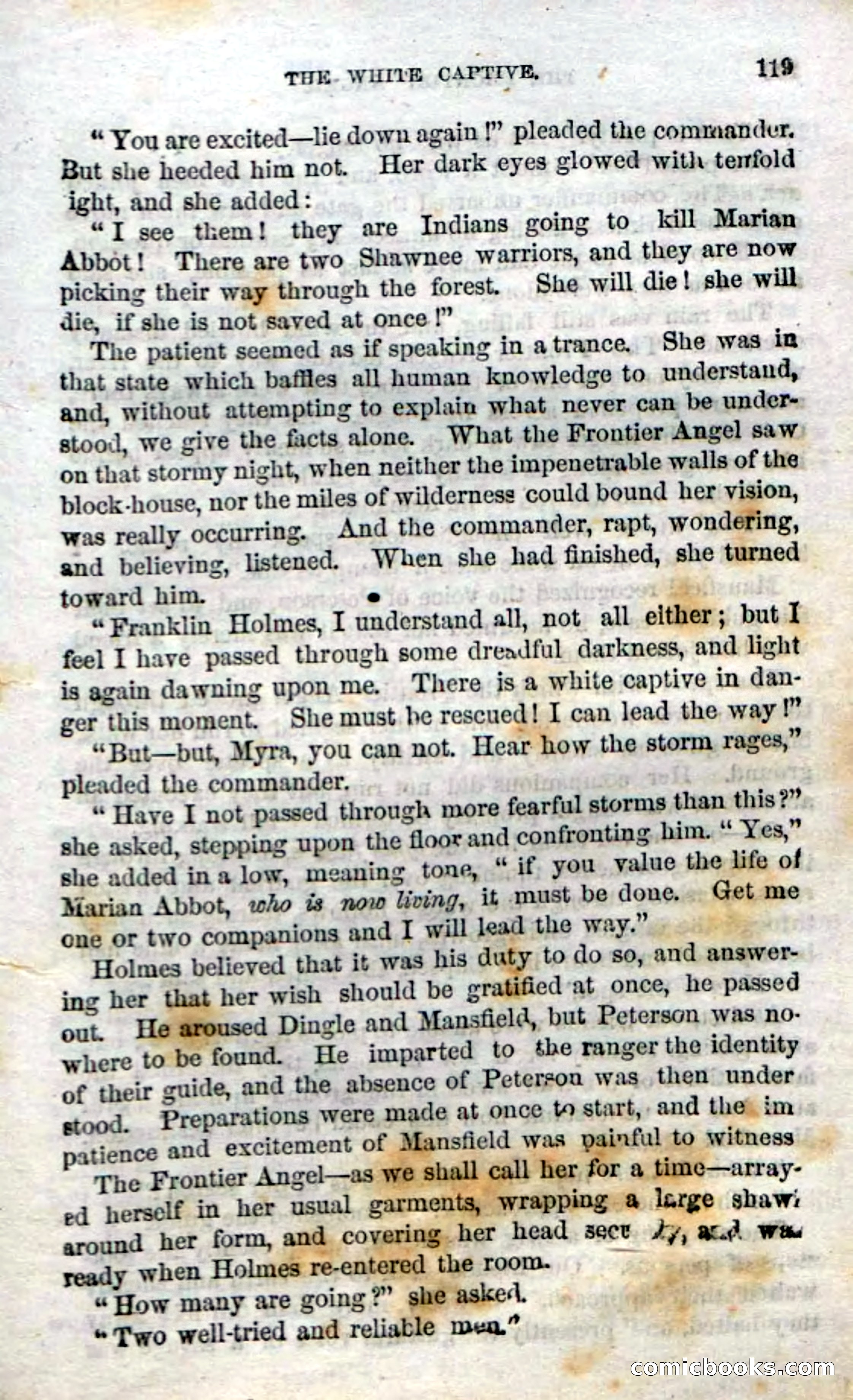 Beadle's Dime Novels No. 15: The Frontier Angel — page 121 of 132